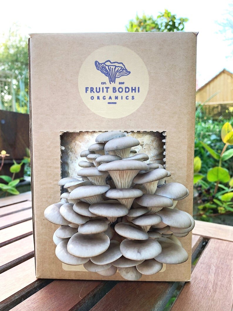 Mushroom grow kit