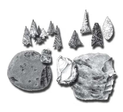LAK_104_BR.jpg