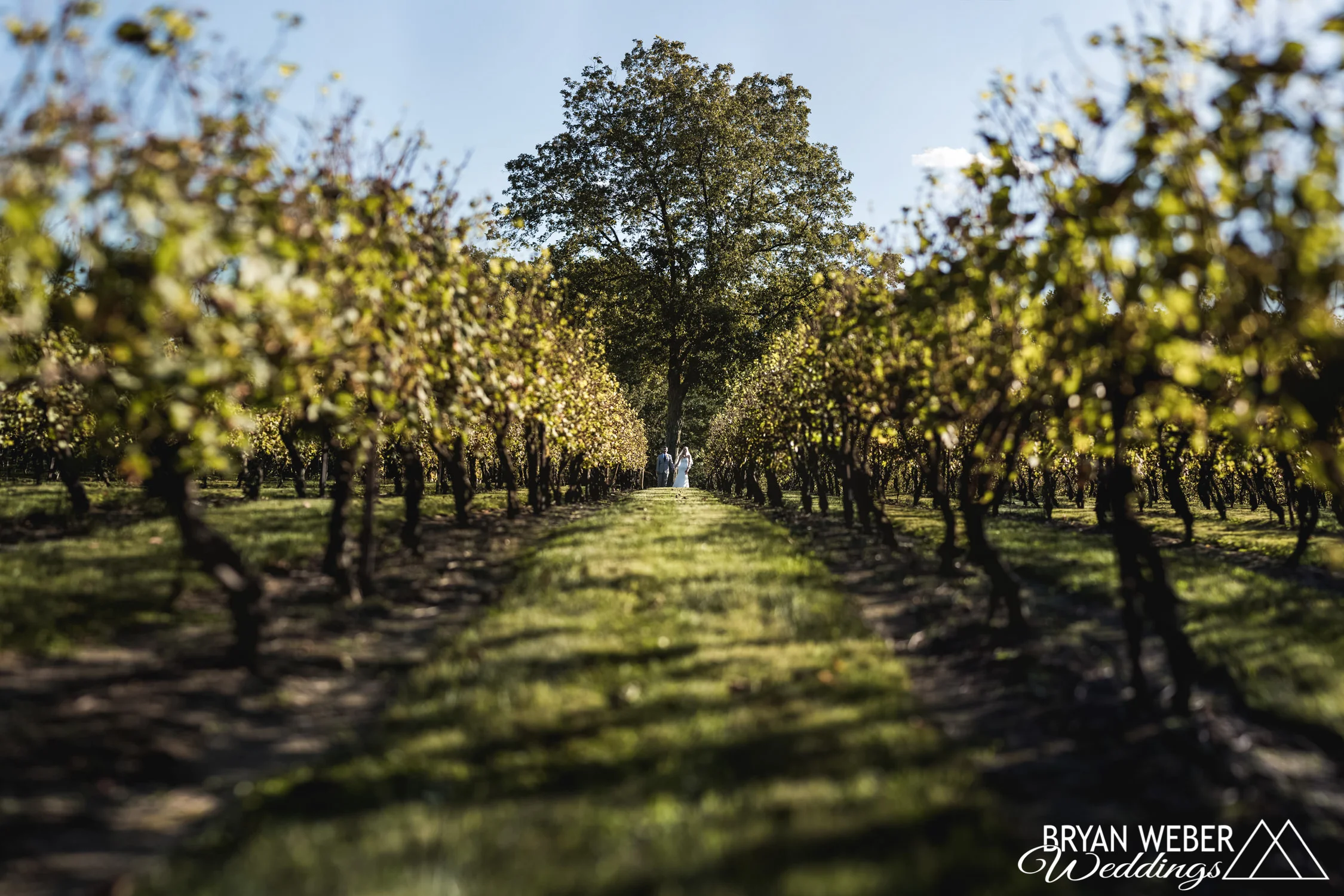 Danielle and Nick - Sneak Peek-7.jpg