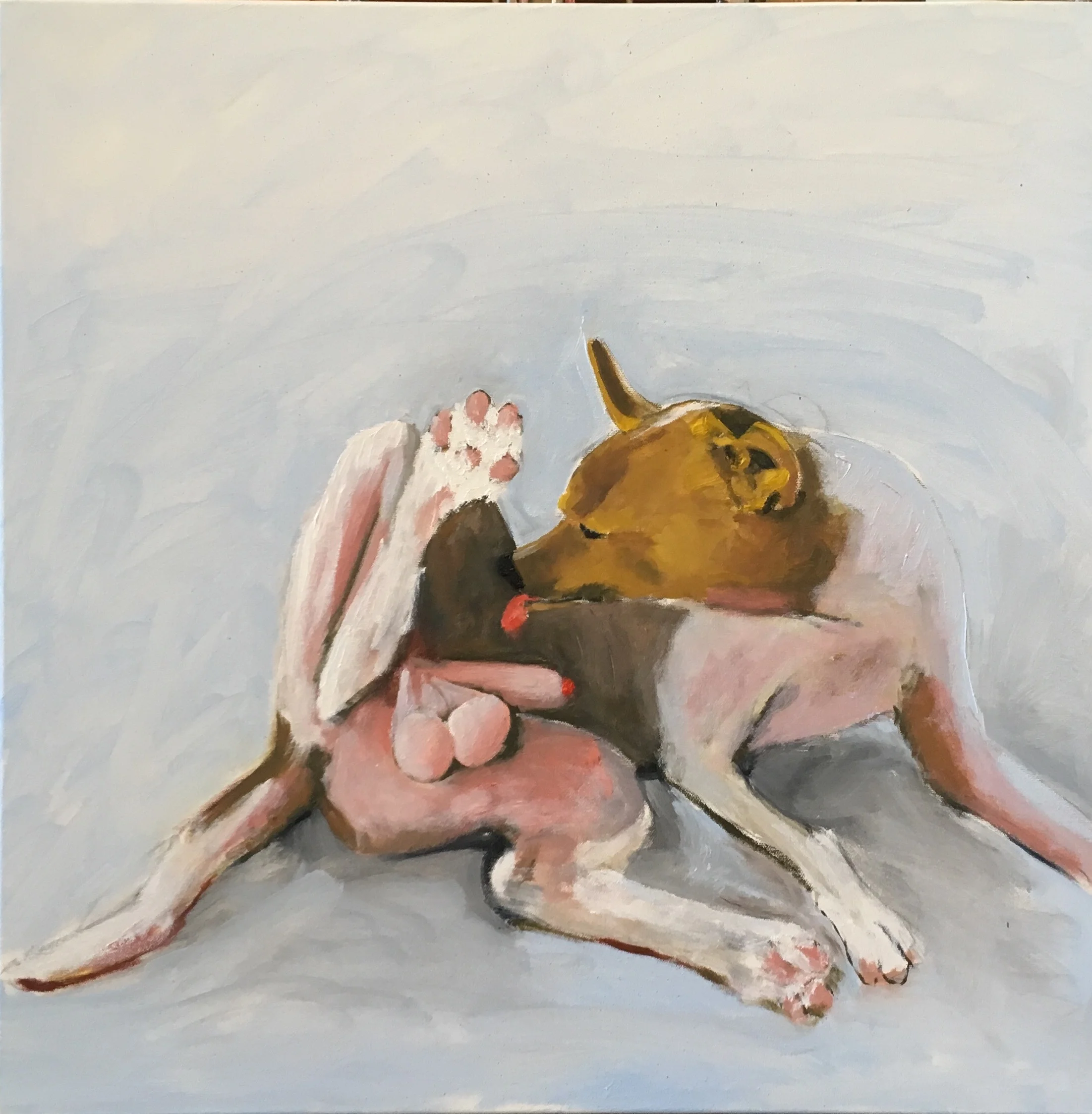 The Single Issue Voter, oil on canvas, 24 X 24 inches