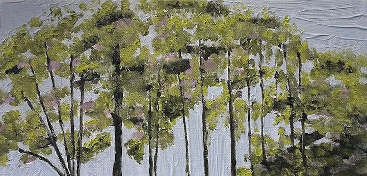 Day 5: Sutro Heights Winter Afternoon