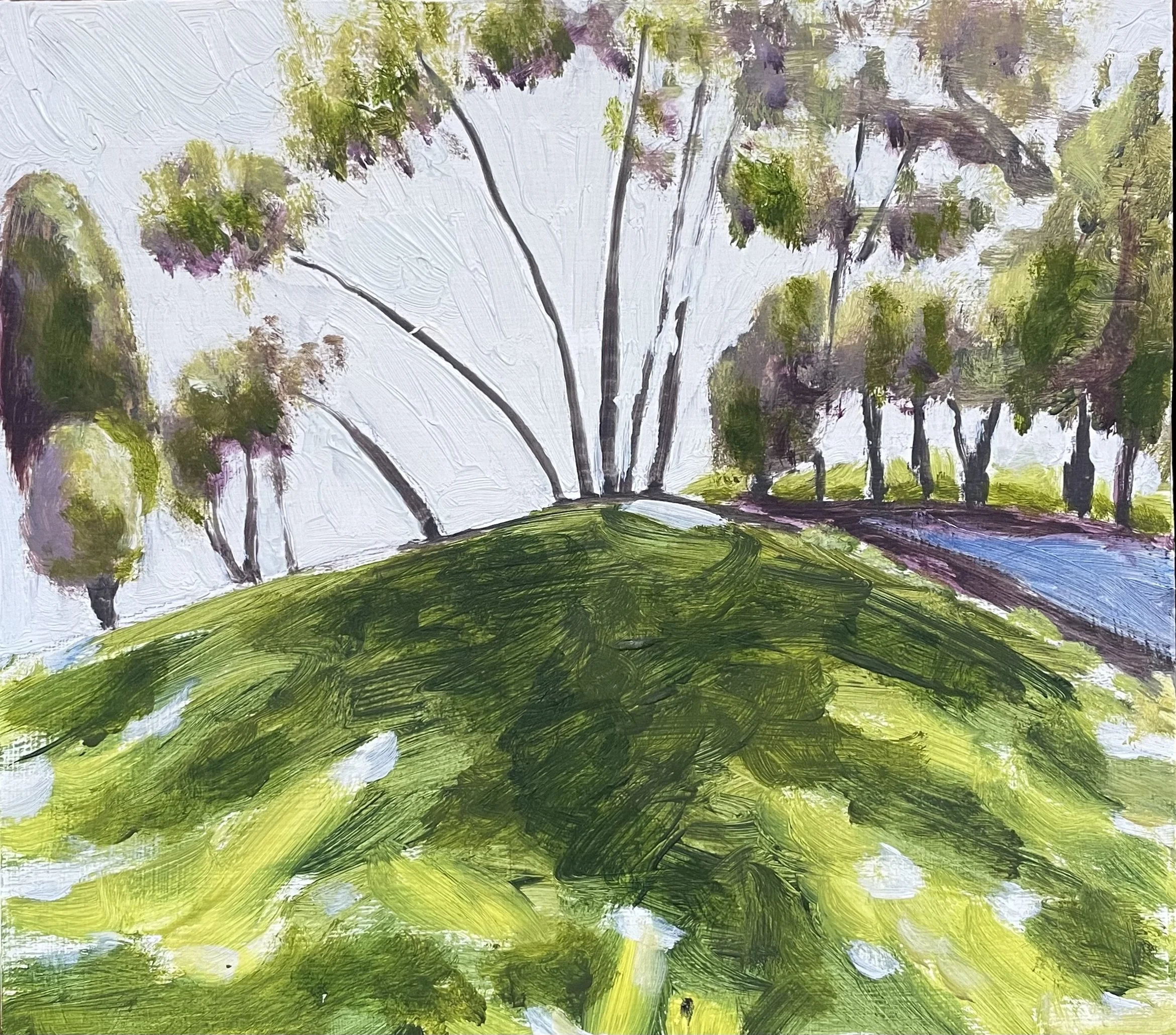 Day 17: Sutro Heights, Winter Afternoon II 