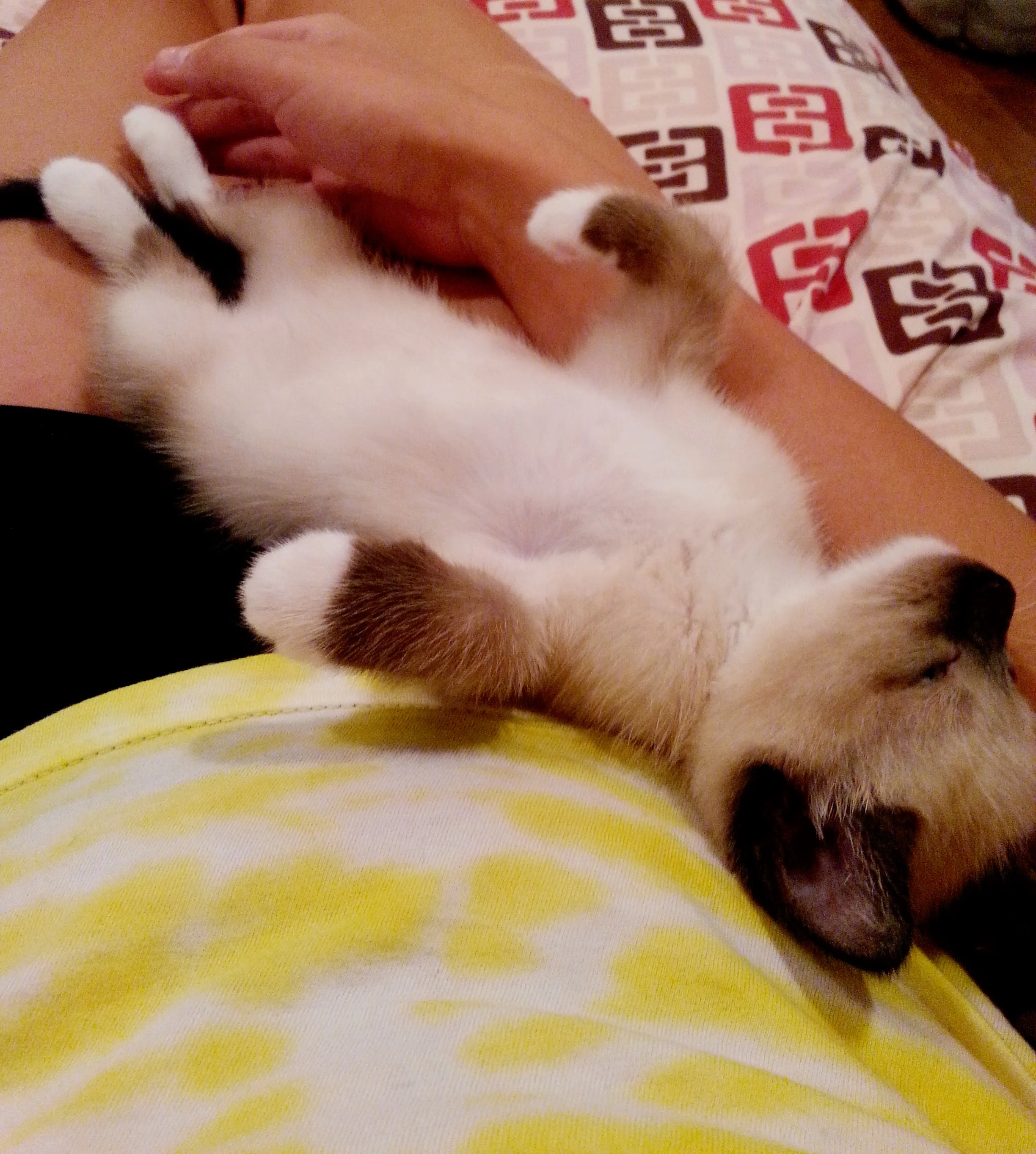 20130813_124820.jpg