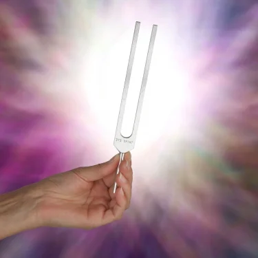 Tuning fork picture.jpg