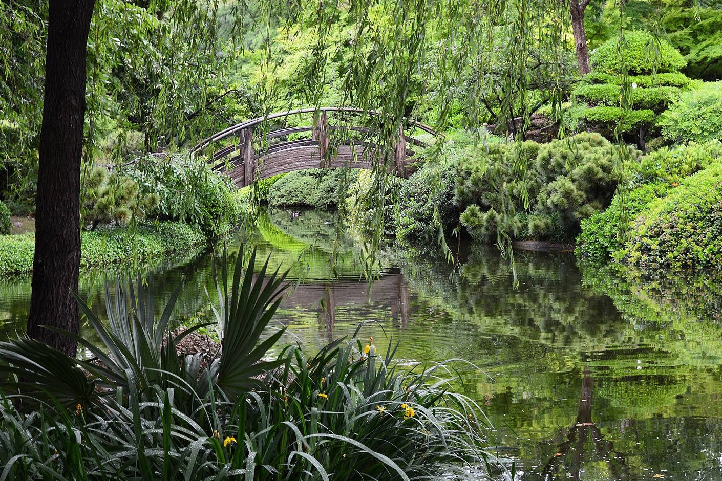 The Japanese Garden Fort Worth Botanic Garden