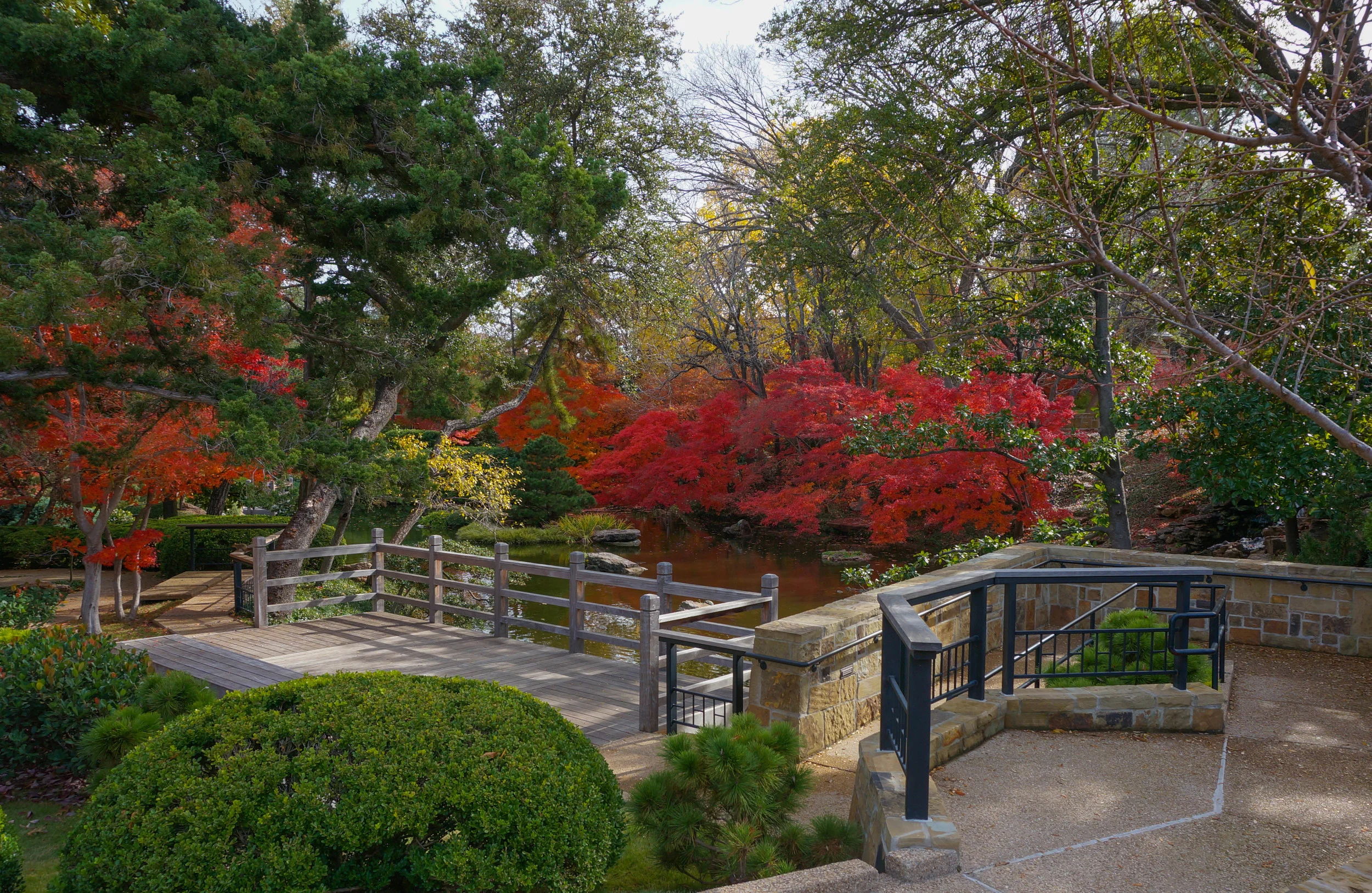Late November in the Garden