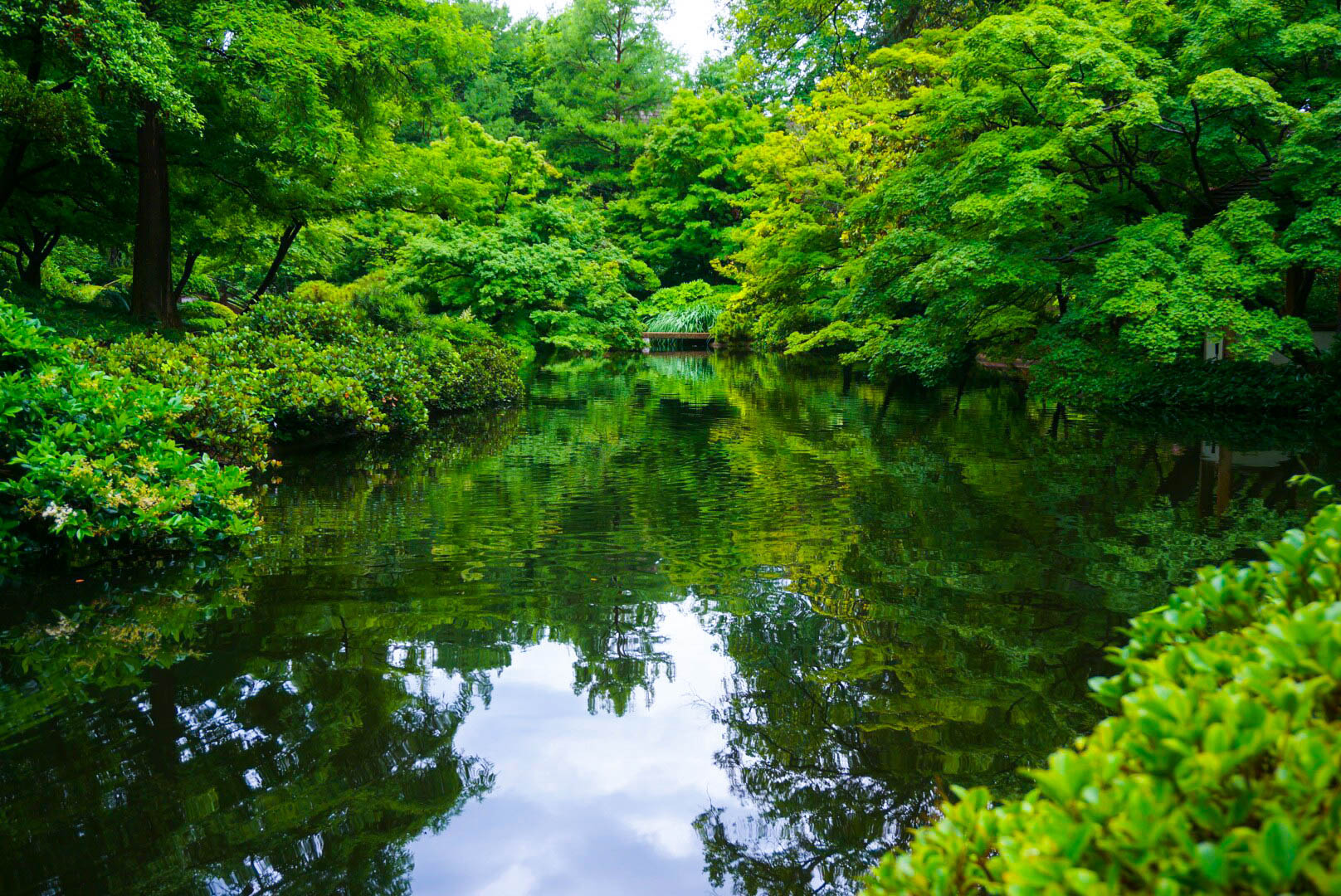 The Japanese Garden in early May.