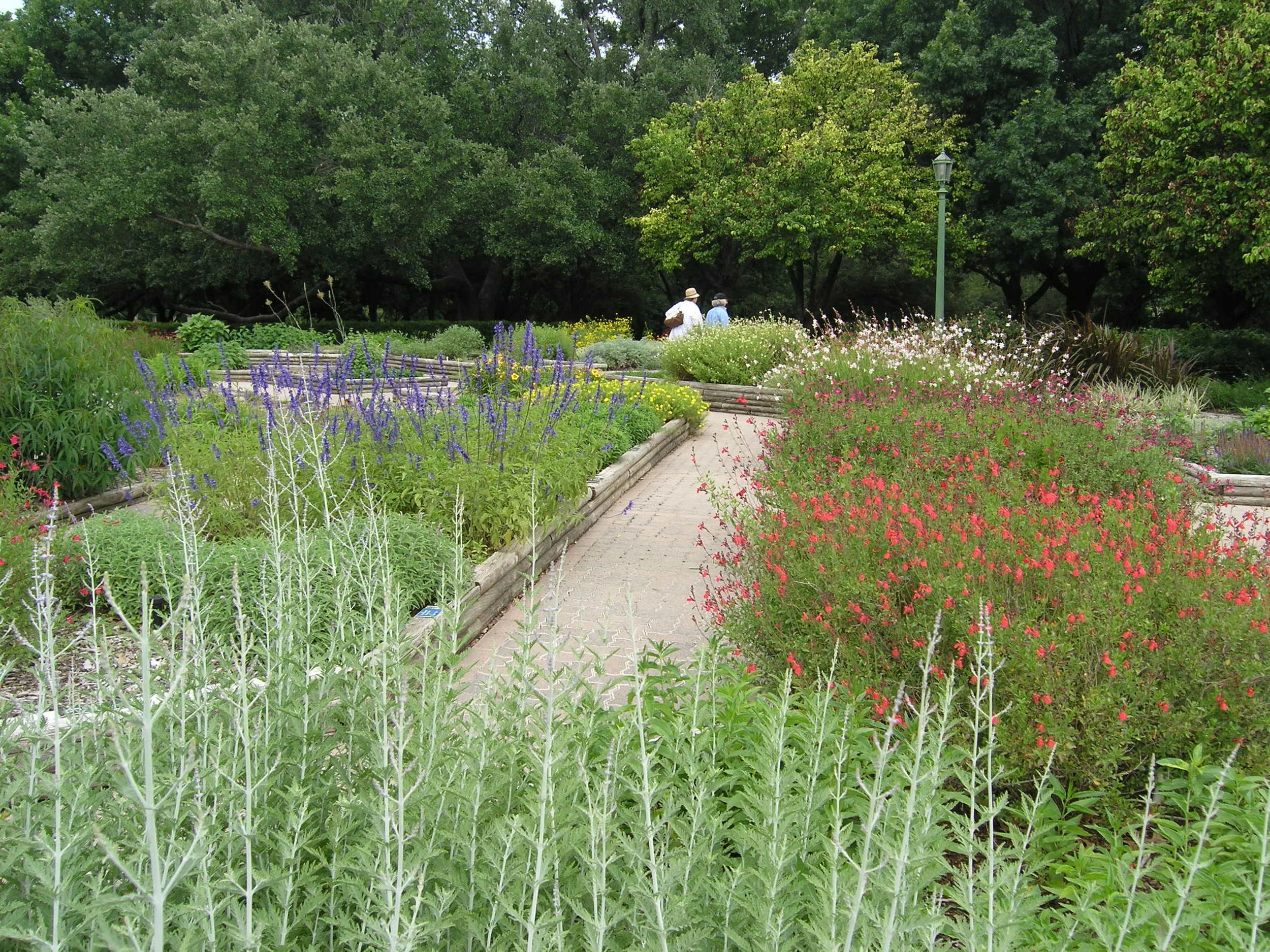 The Trial Garden beds.