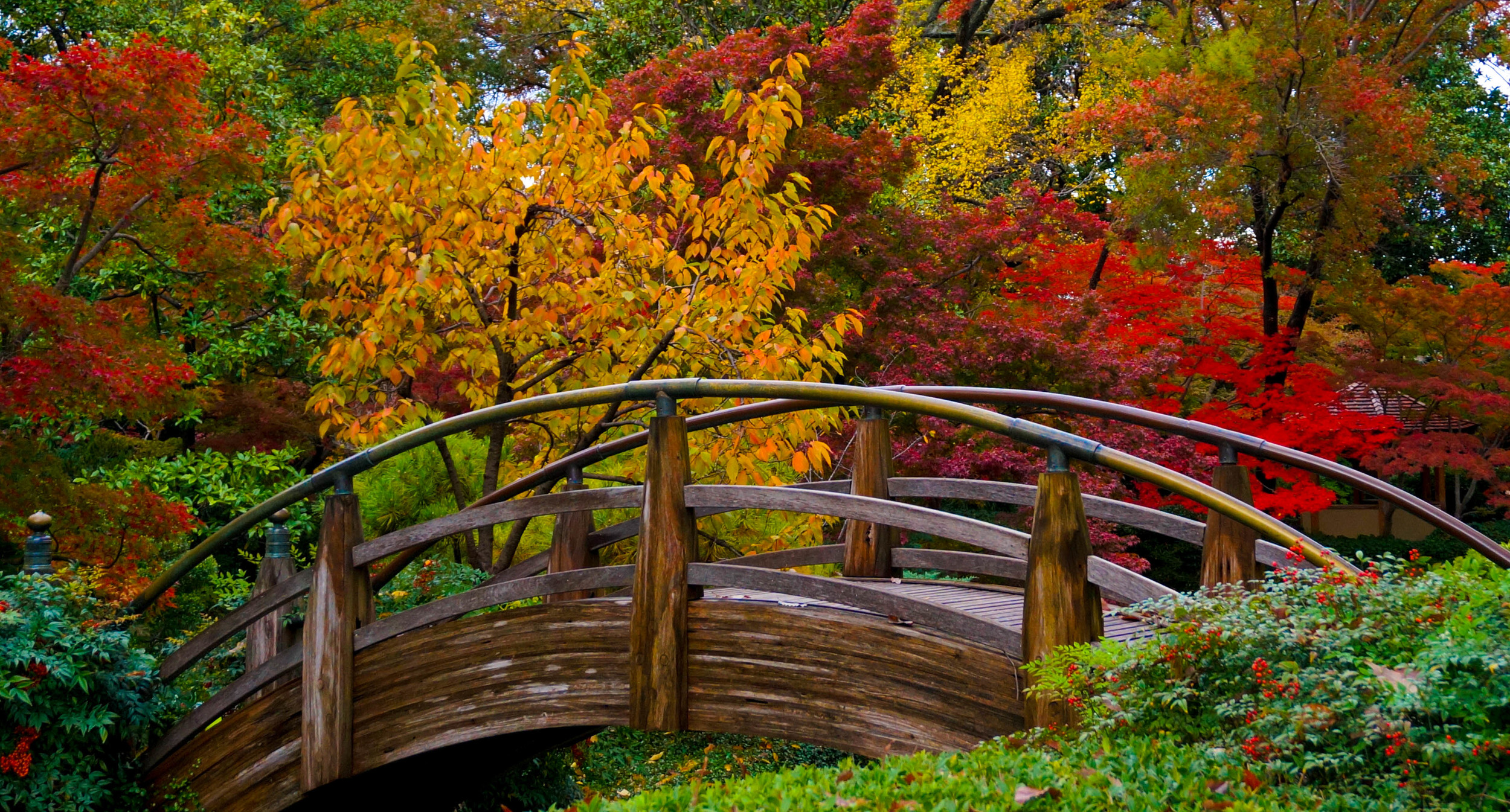 The Japanese Garden Fort Worth Botanic Garden