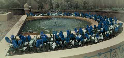 The fountain in the 1960's