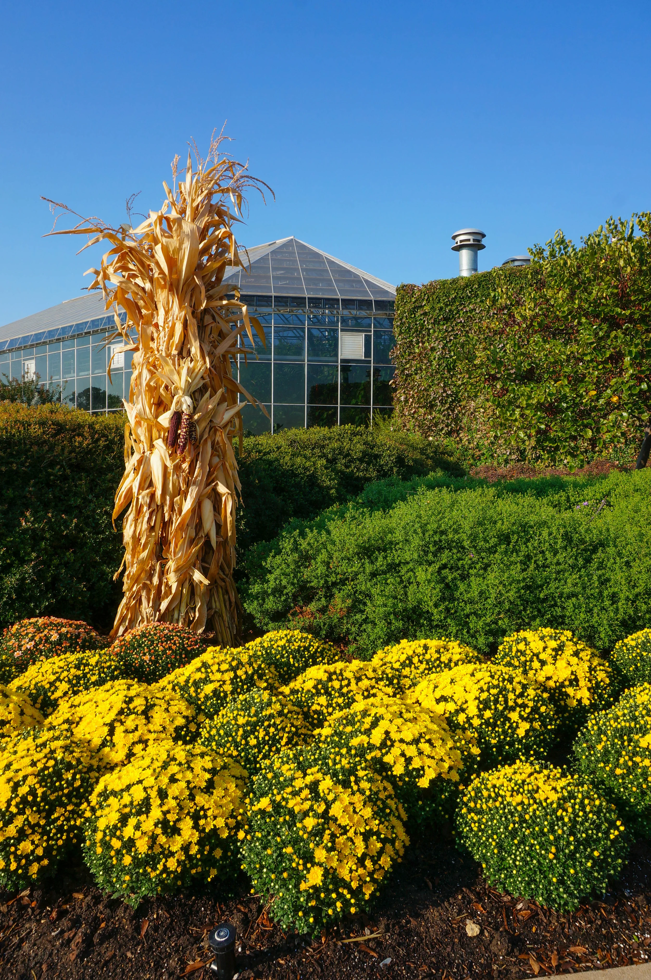Fall display in front of the Garden Center