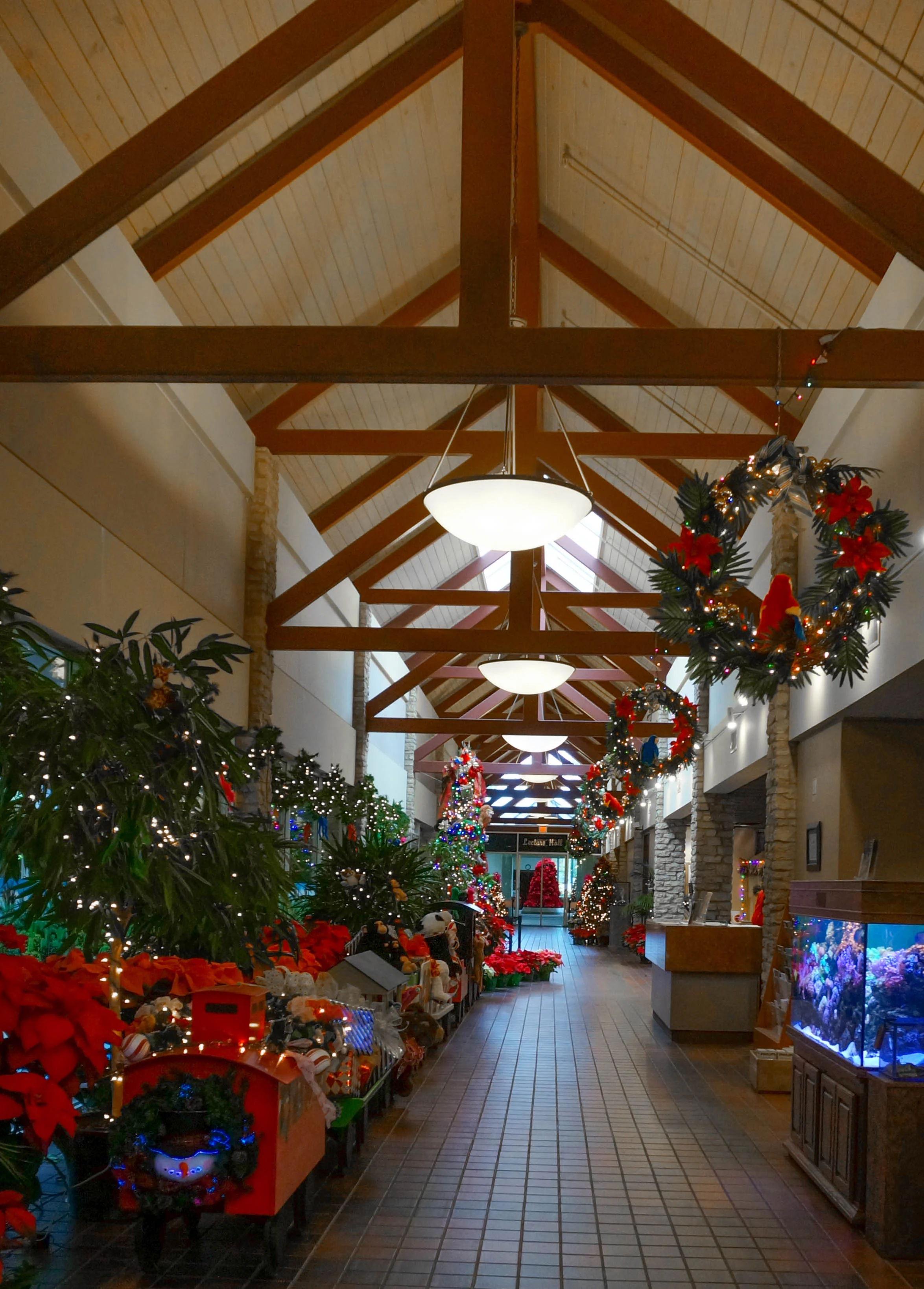 Getting ready for the holidays