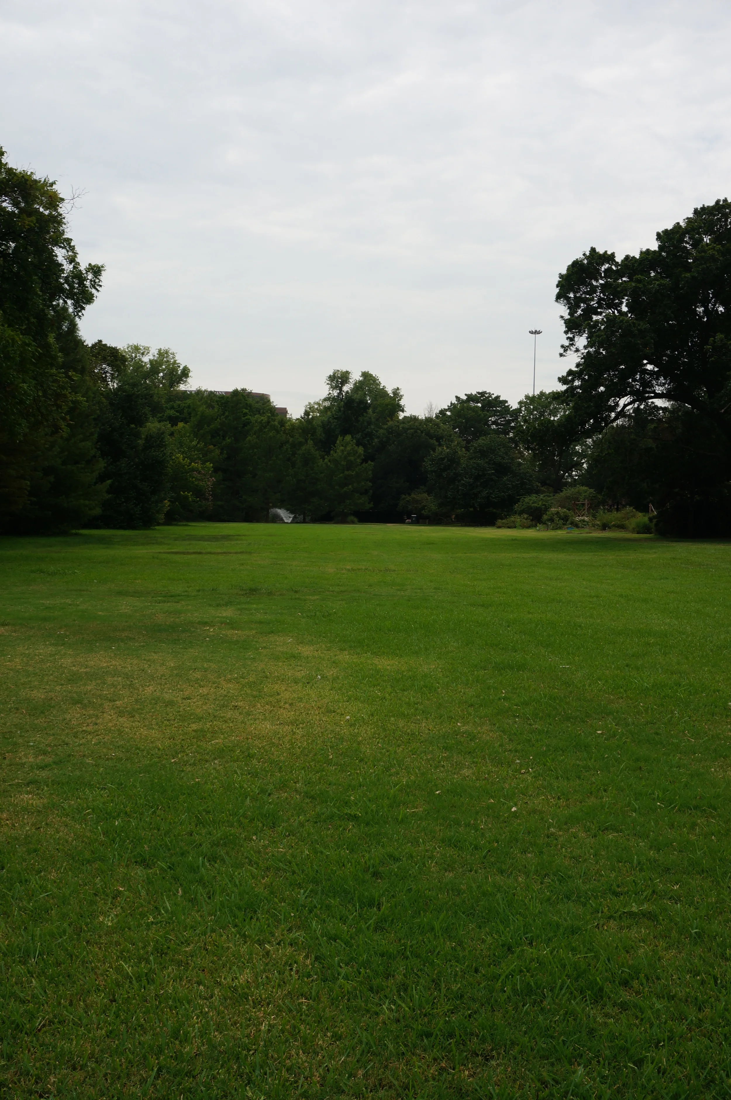 South vista looking towards the Rose Garden.