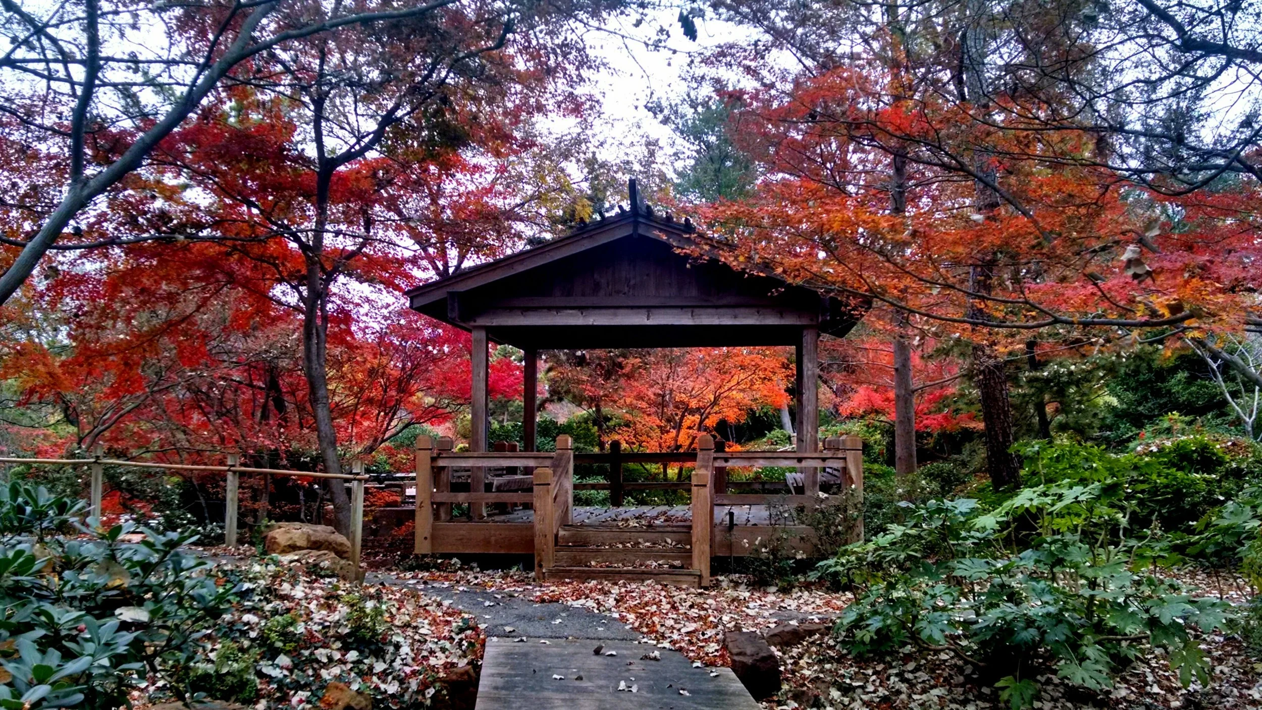 Lake Arbor small wedding venue.