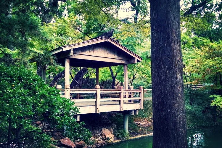 Lake Arbor in mid-Summer
