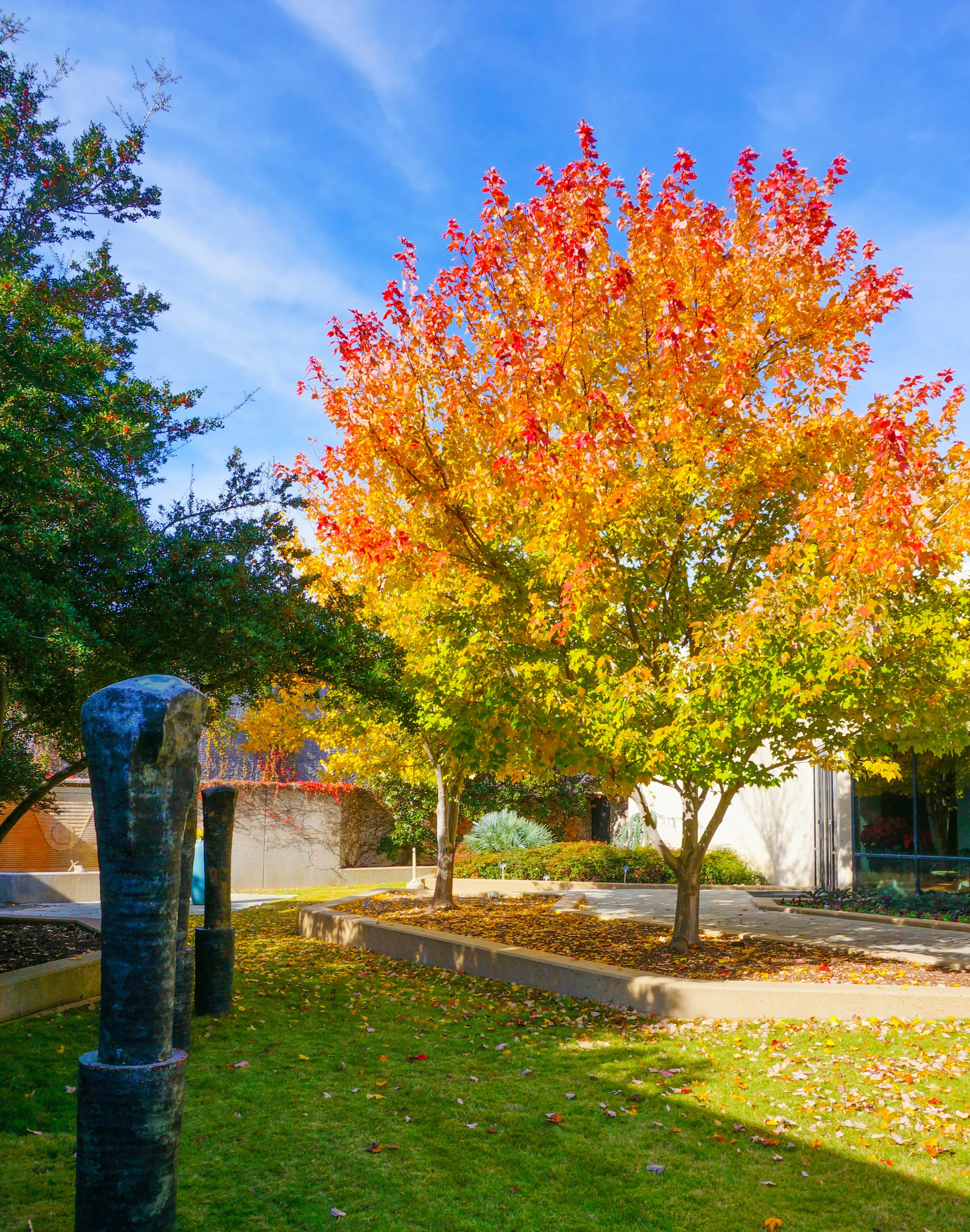 Early November in the Garden