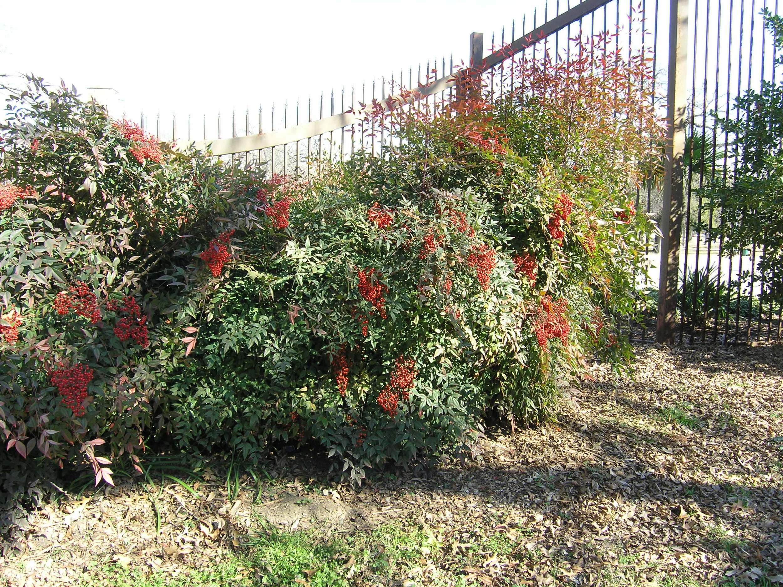 Color Garden Publishing 001.jpg