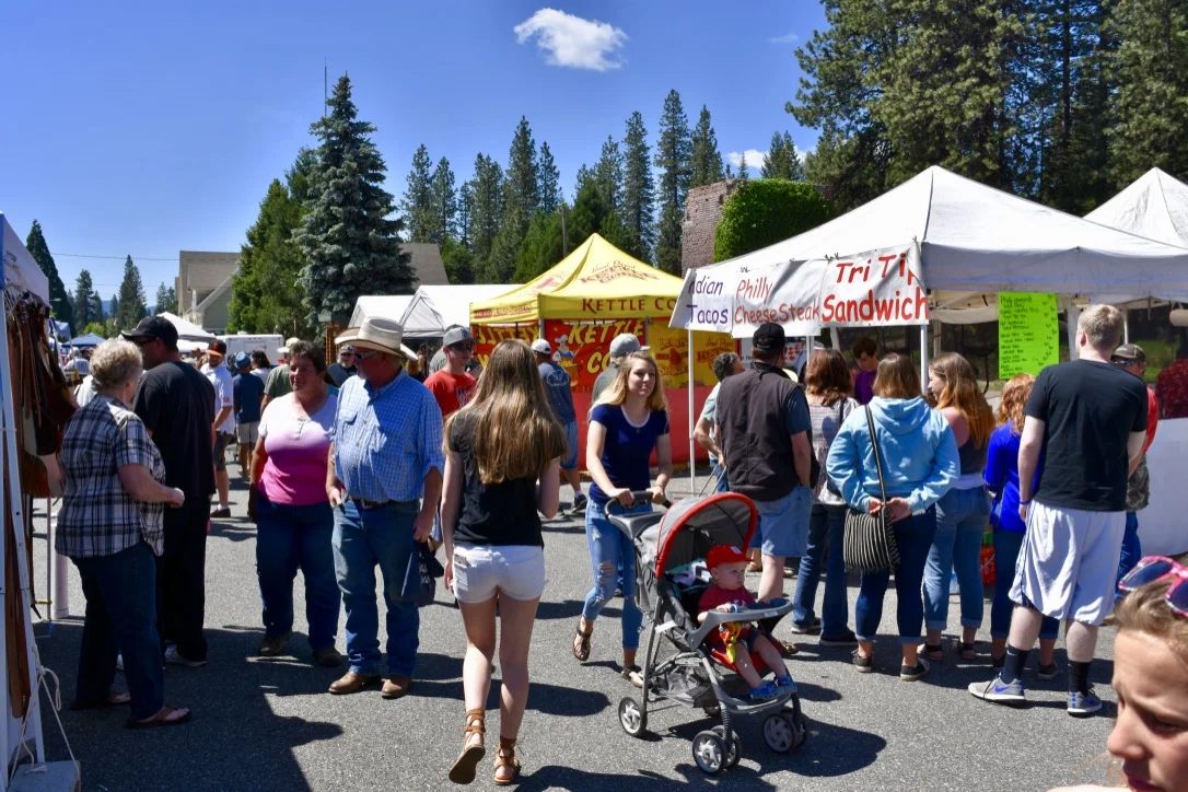 McCloud Chamber Blog — McCloud Chamber