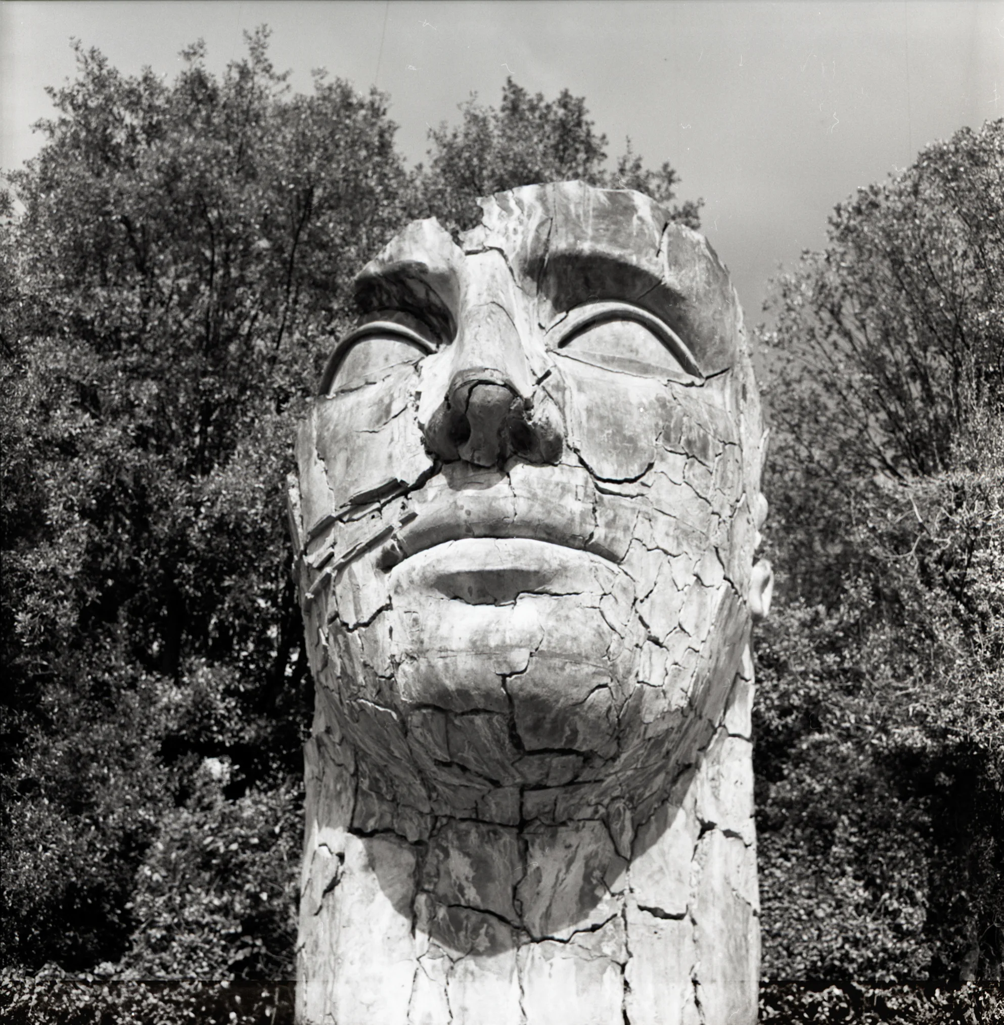 head.jpg