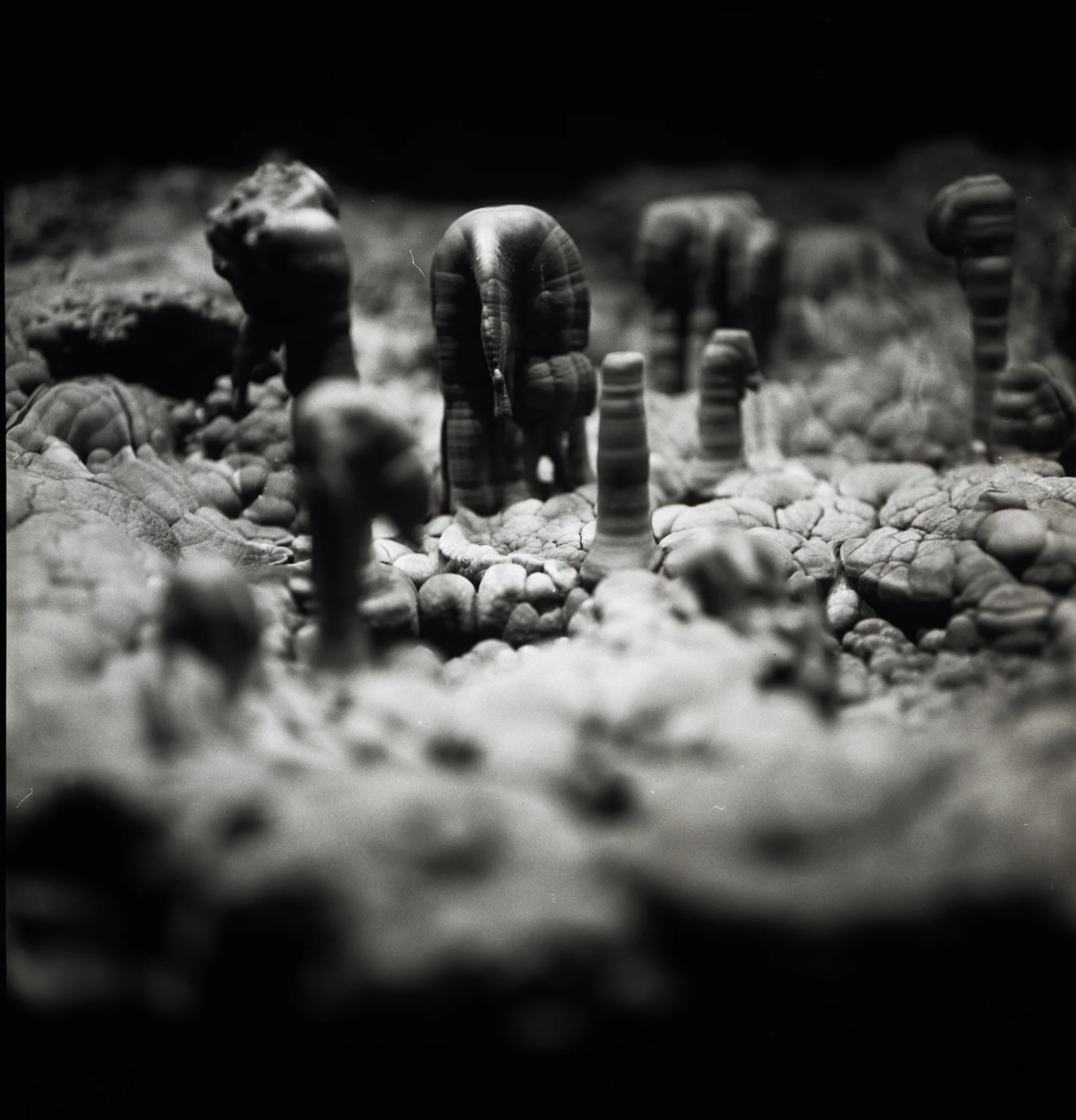 mineral6.jpg