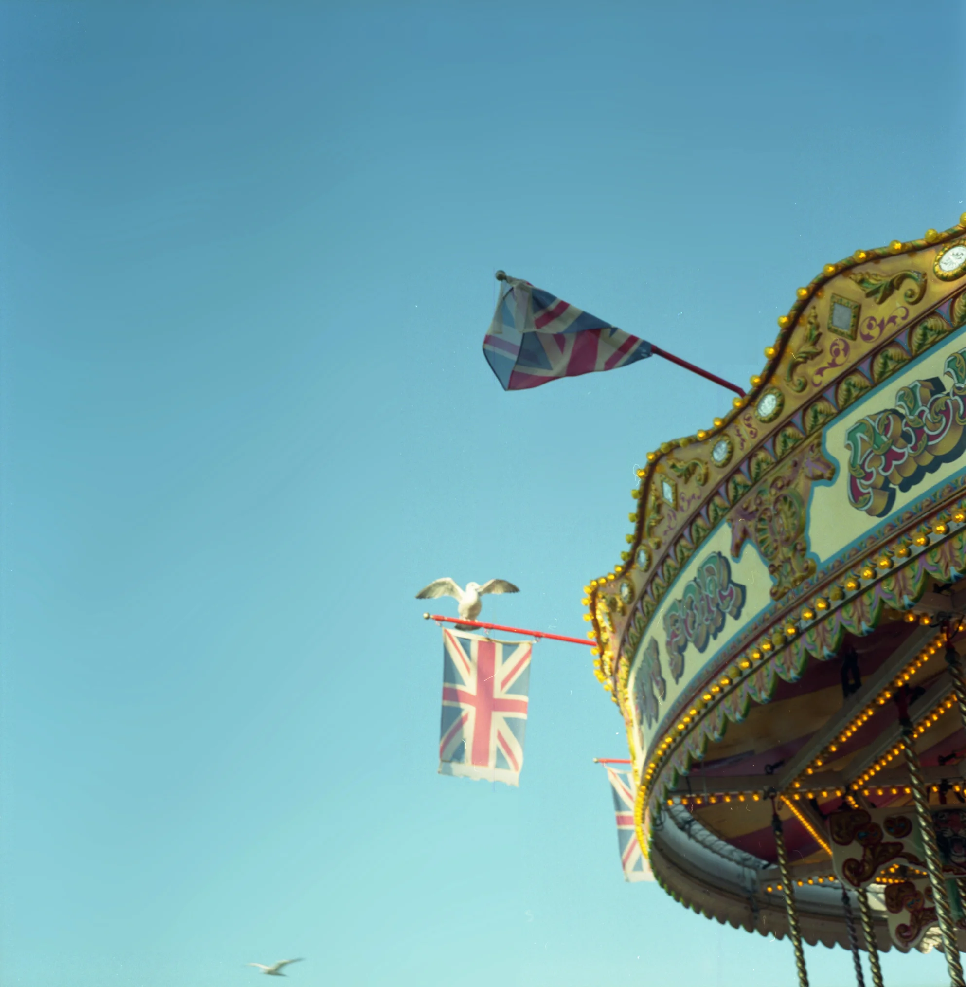 merrygoround2.jpg