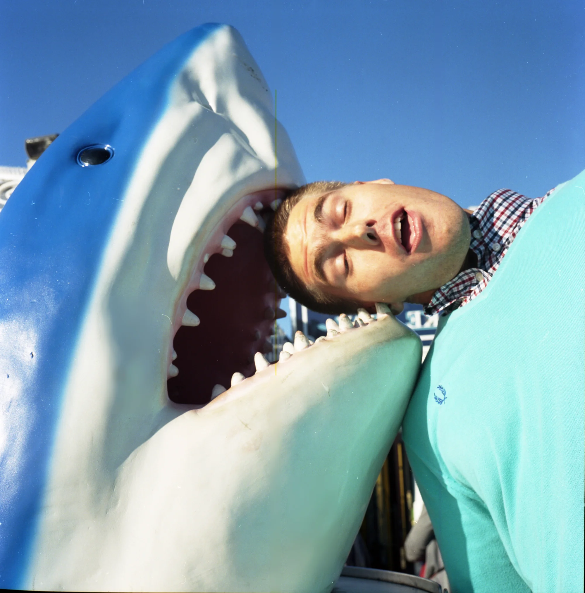 shark.jpg
