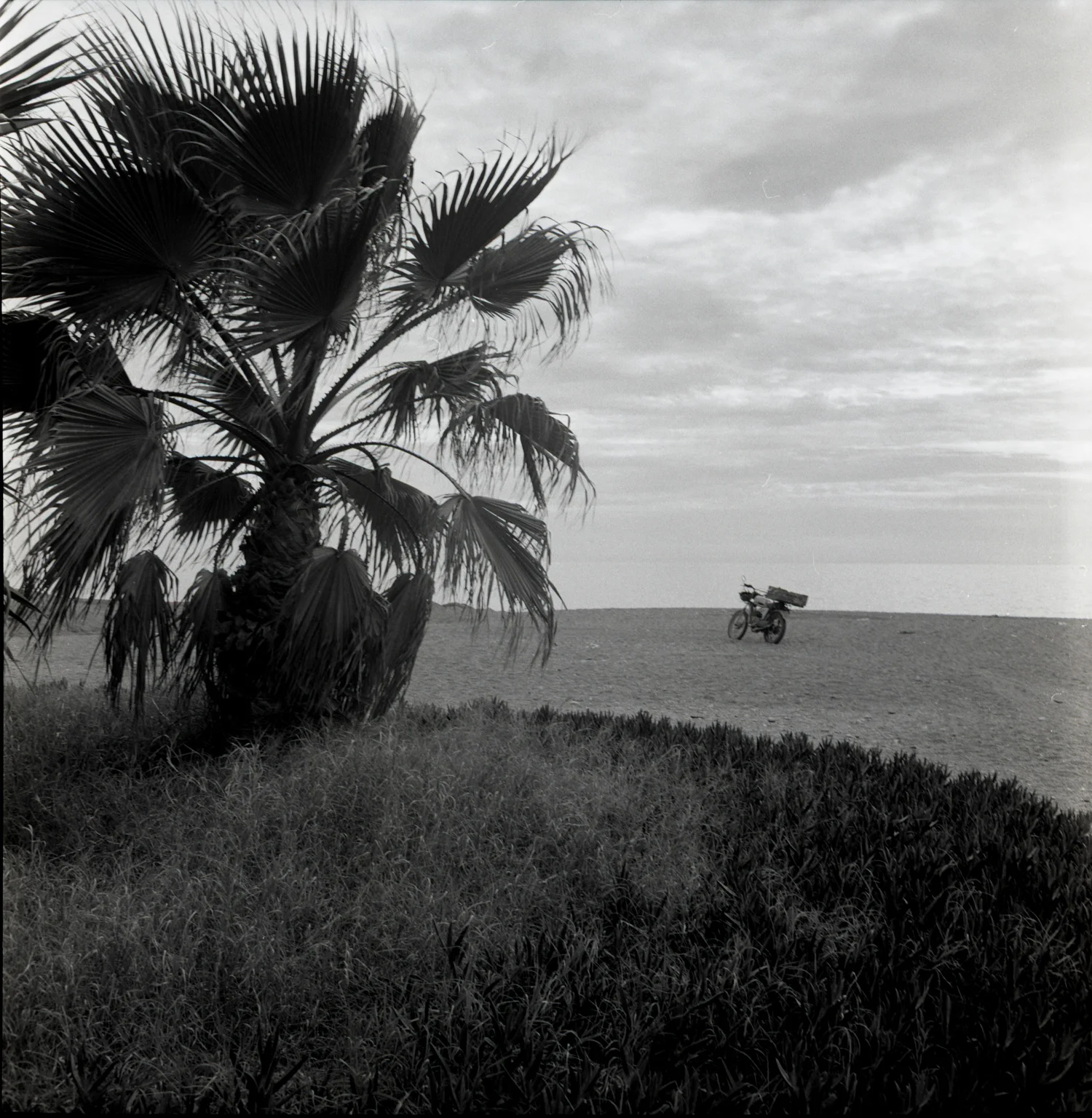 beach4.jpg