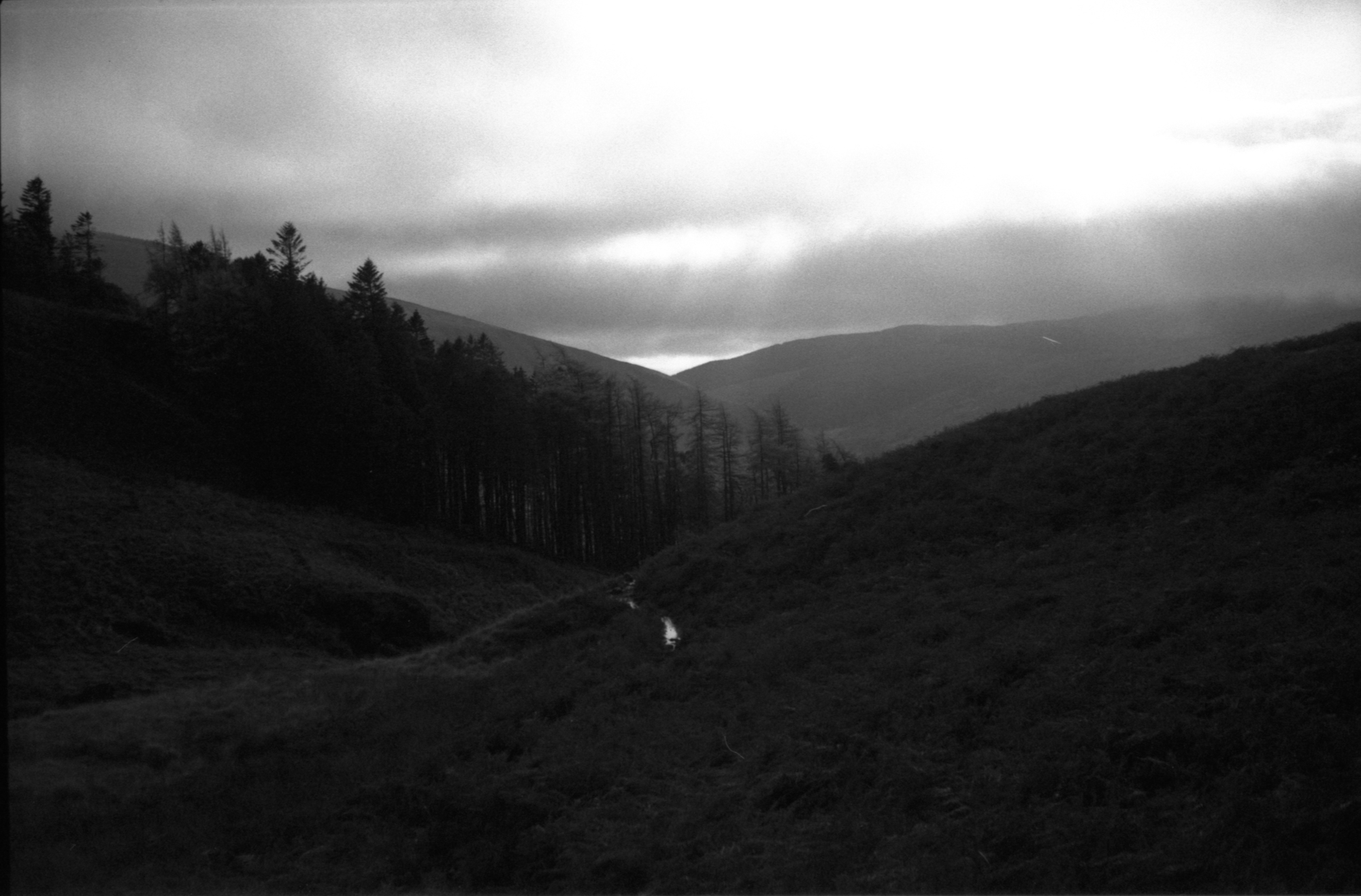 rollei400s103.jpg