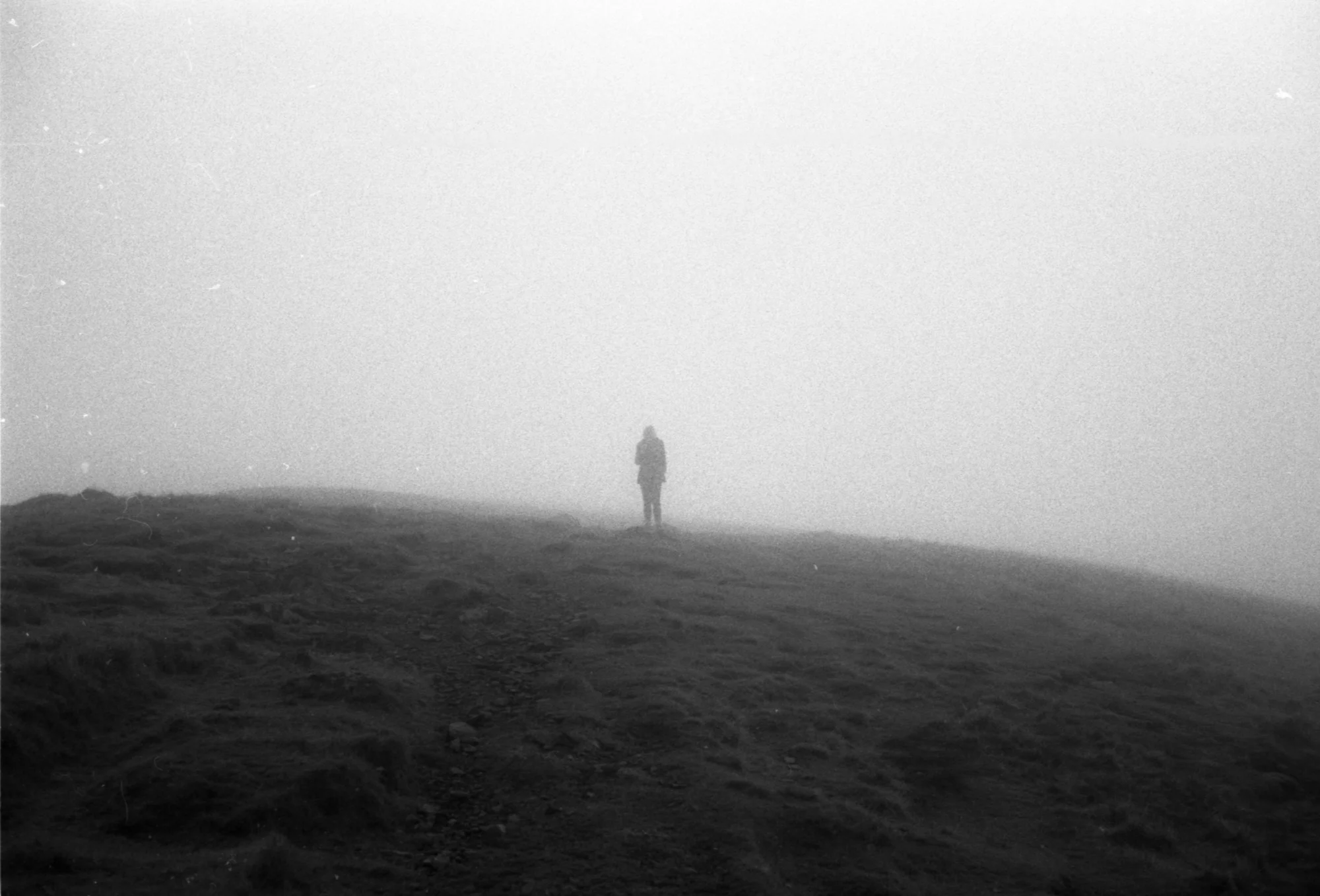 rollei400s113.jpg