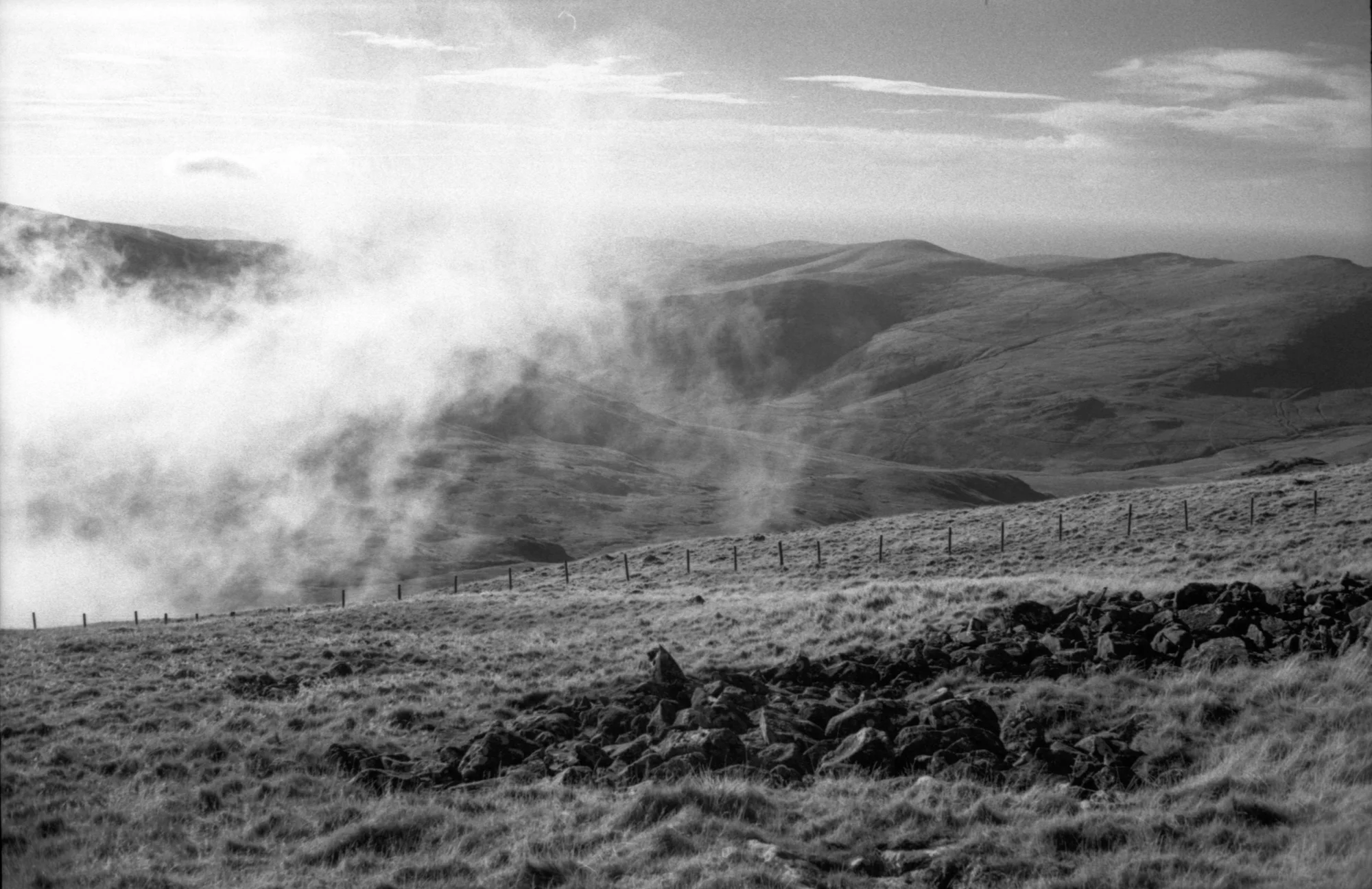 rollei400s115.jpg