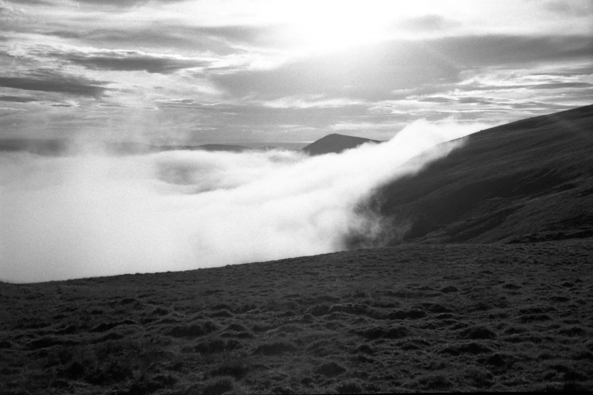 rollei400s119.jpg