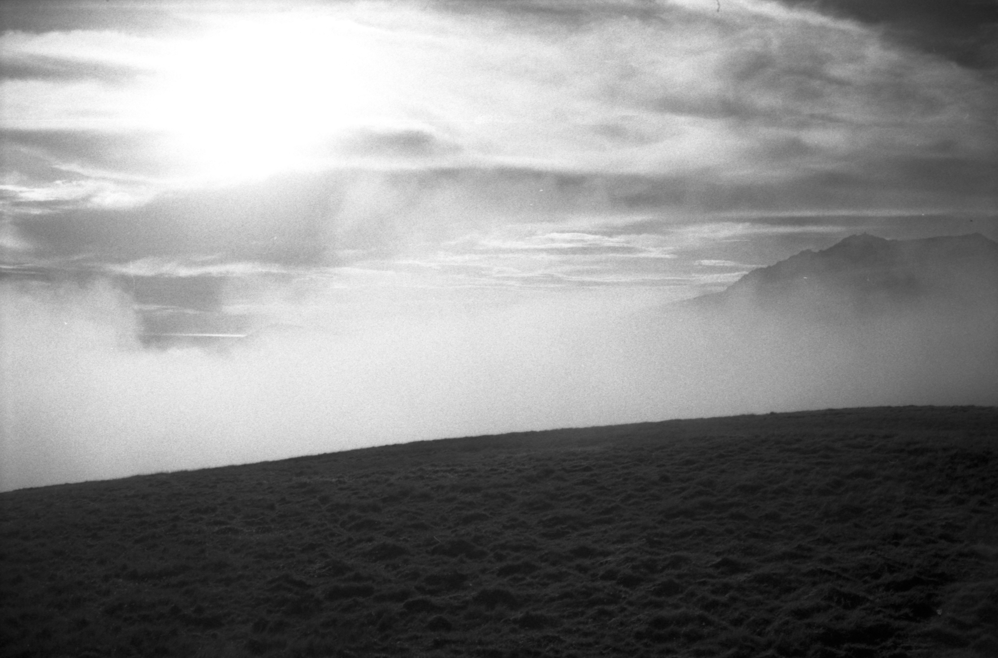 rollei400s128.jpg