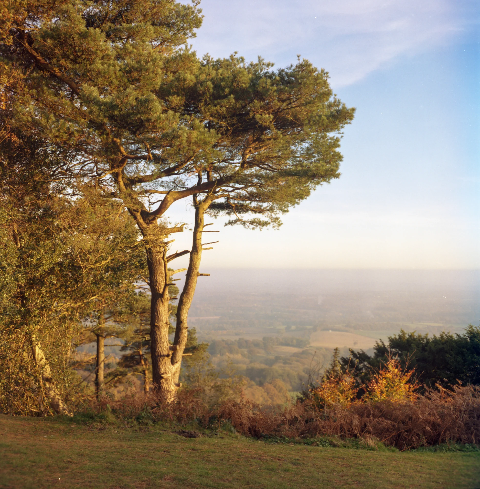 portra400027.jpg