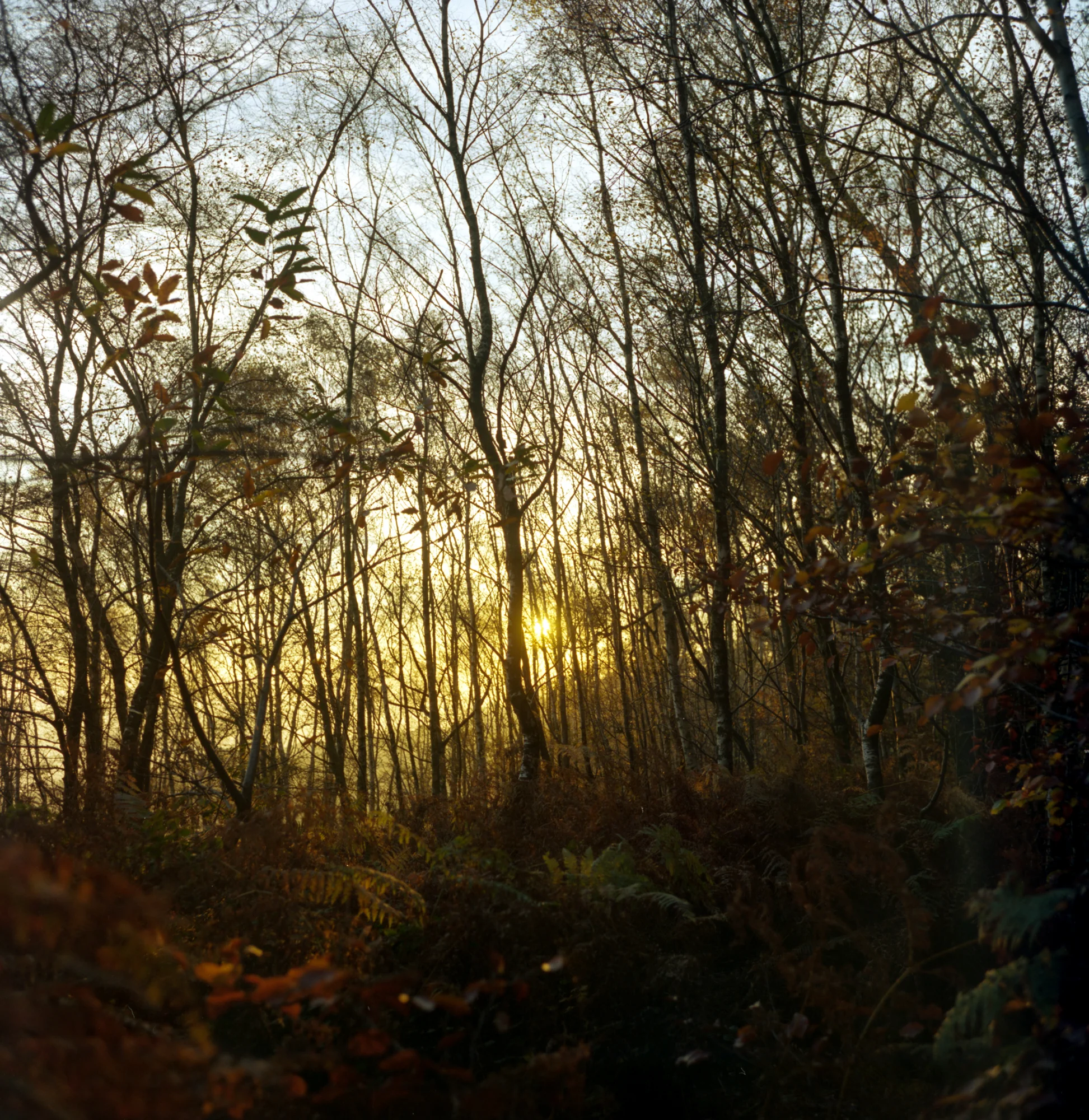 portra400038-3.jpg