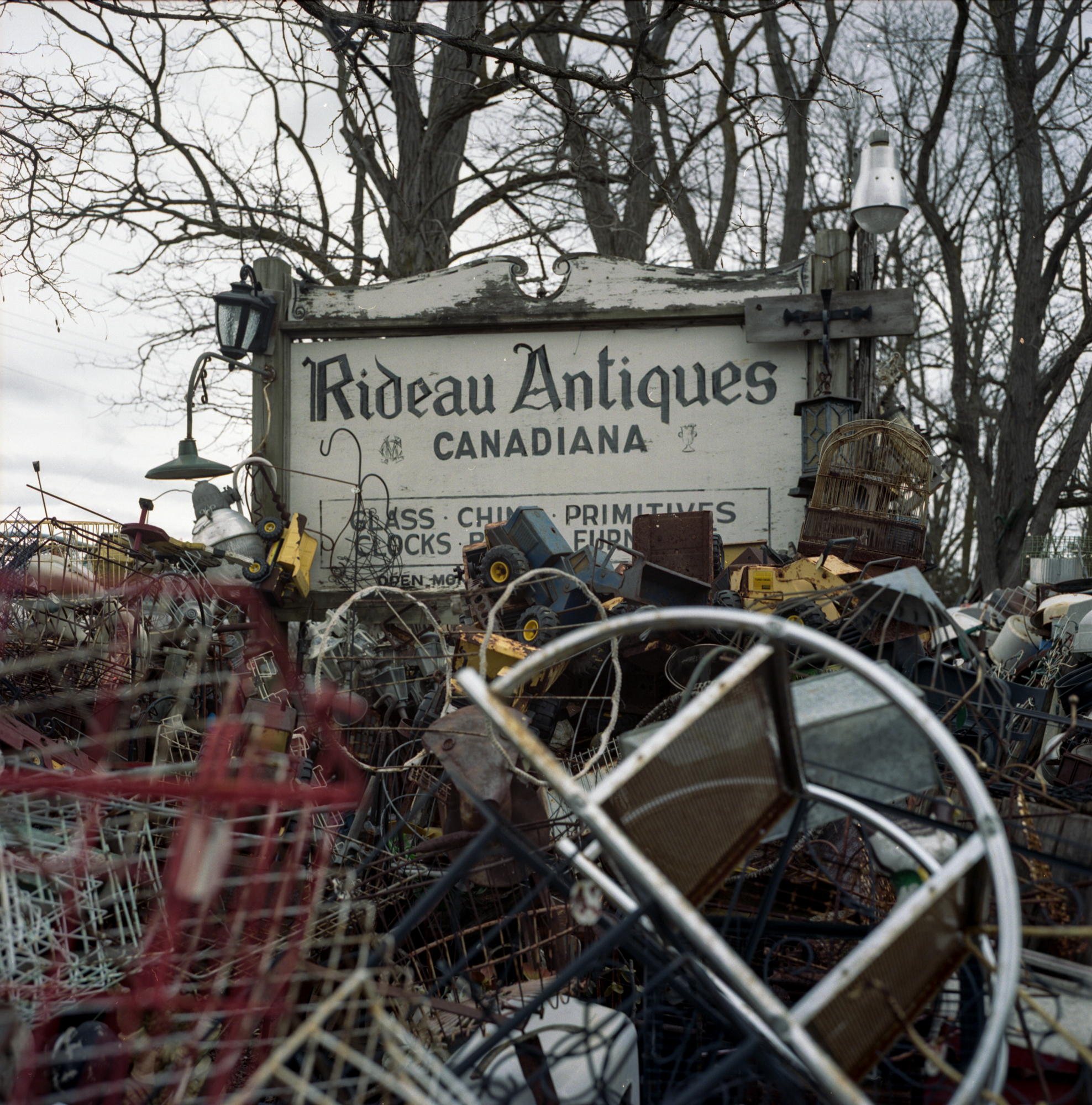400Portra024.jpg