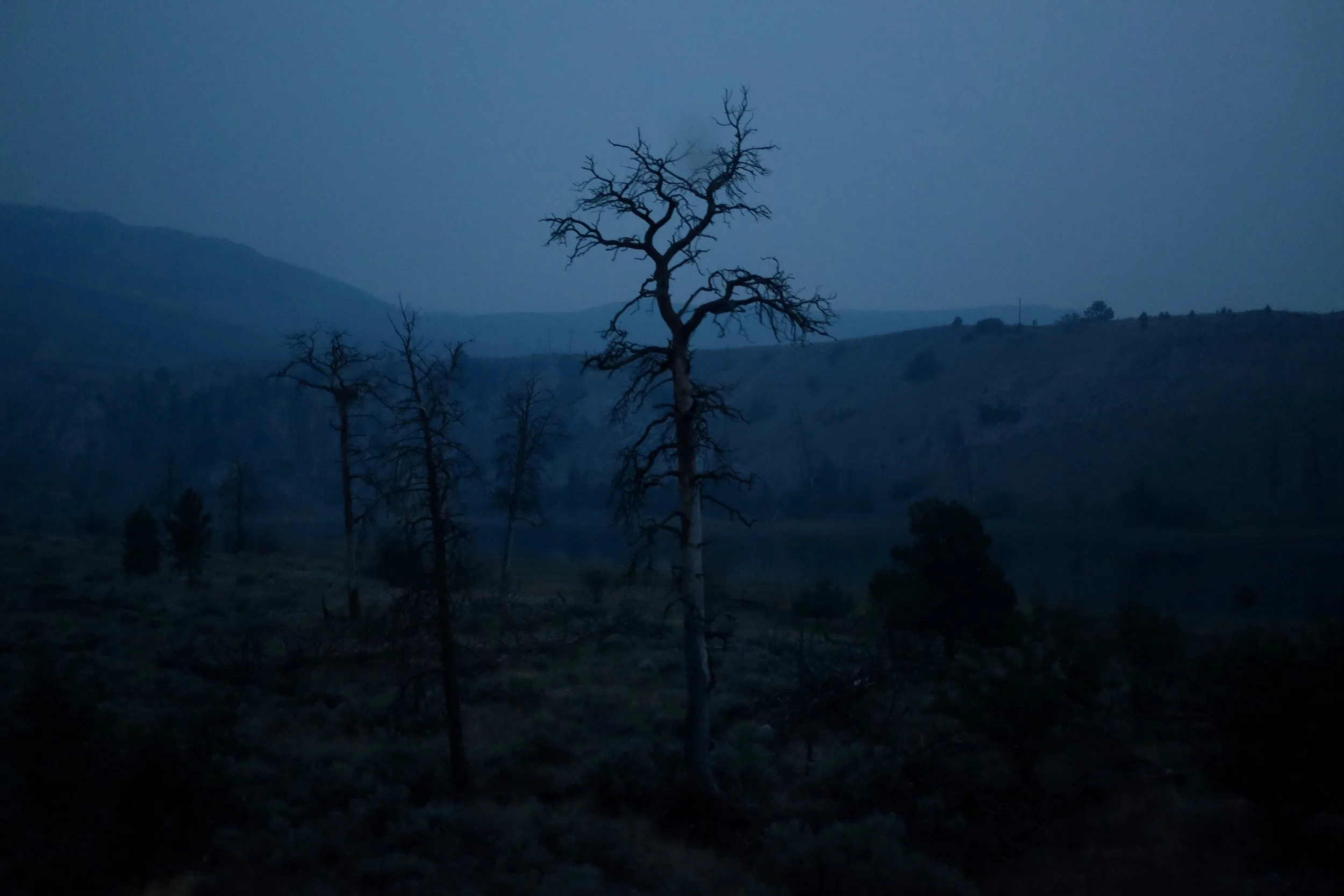 TransCan-26.jpg