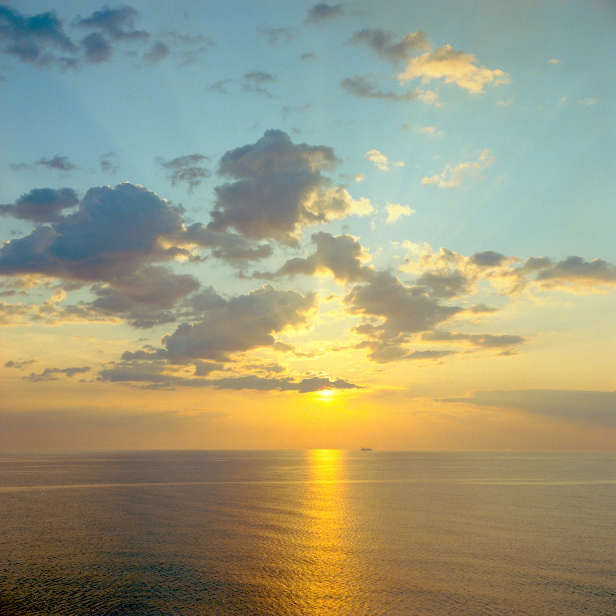 Cruise2-3.jpg