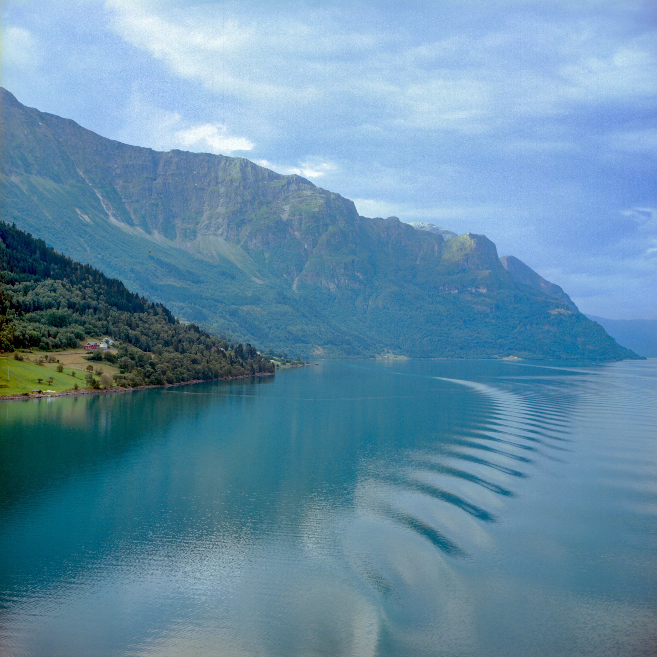 Cruise2-5.jpg