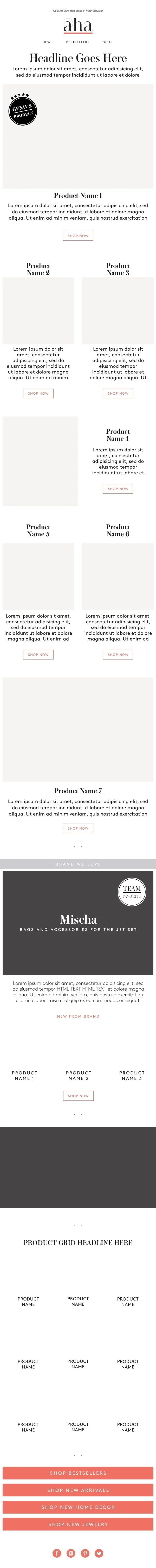 Aha Email Template.jpg