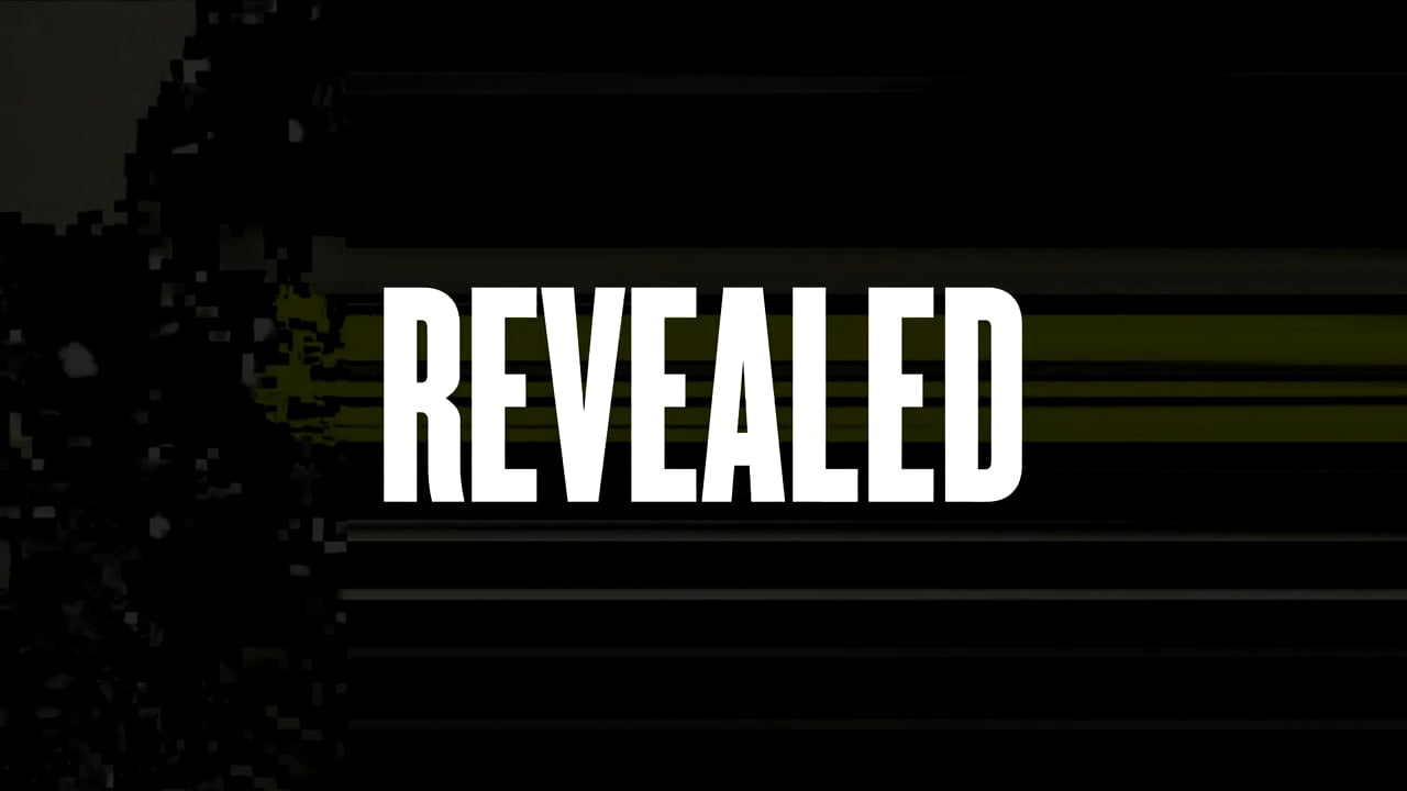 MTV VMA's "REVEALED" Special