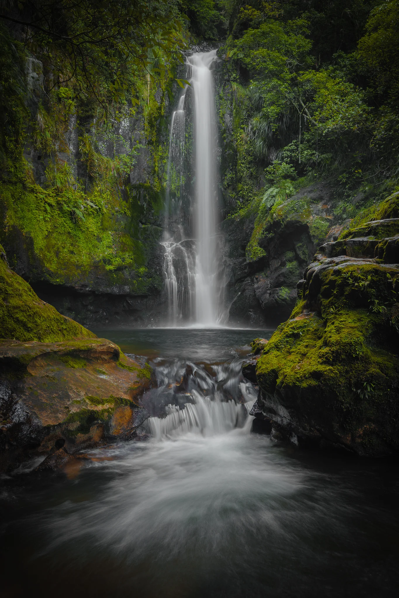 new-zealand-landscape-tauranga-kaiate-falls1.jpg