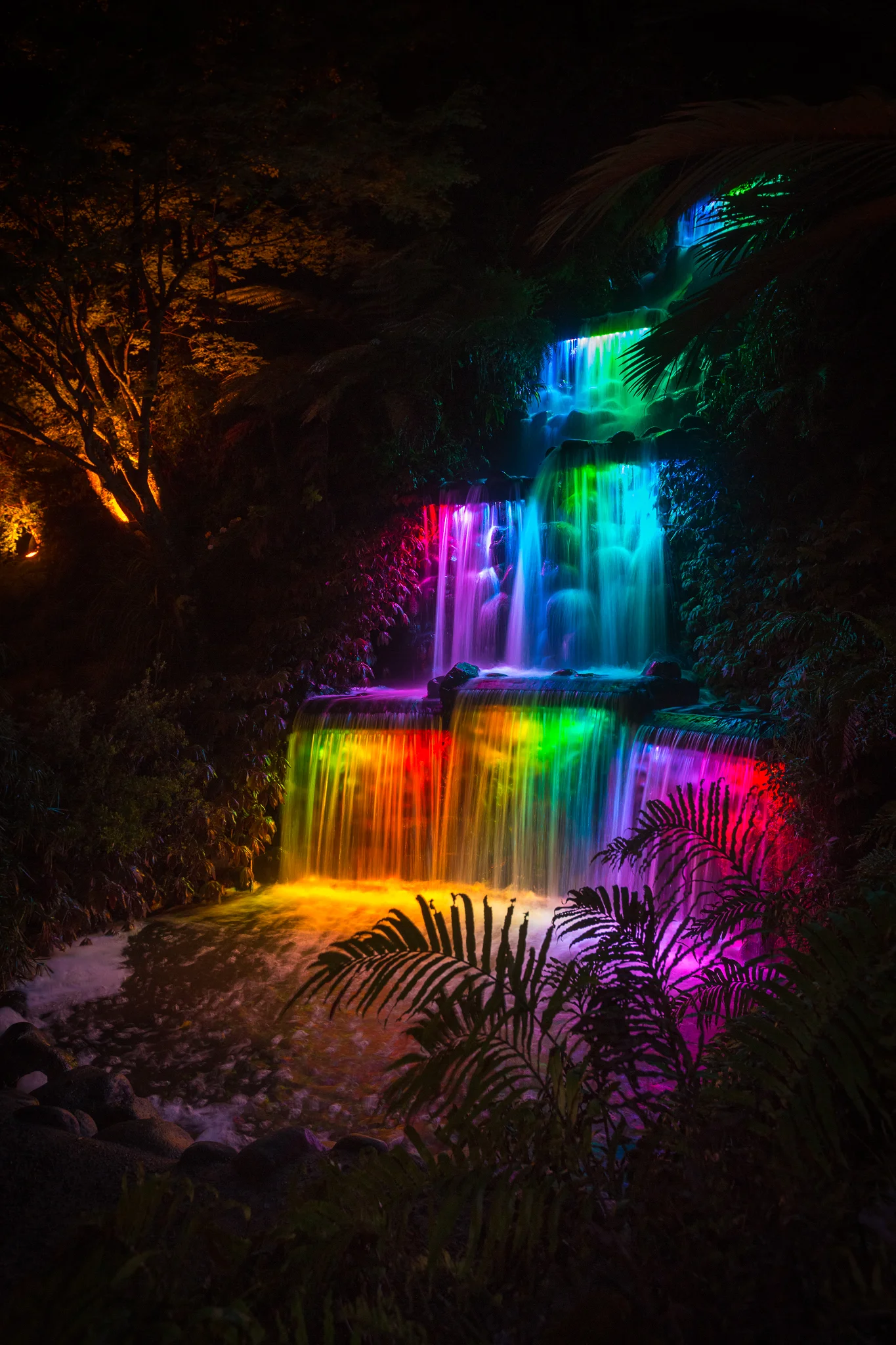 new-zealand-landscape-new-plymouth-festival-of-lights-waterfall1.jpg