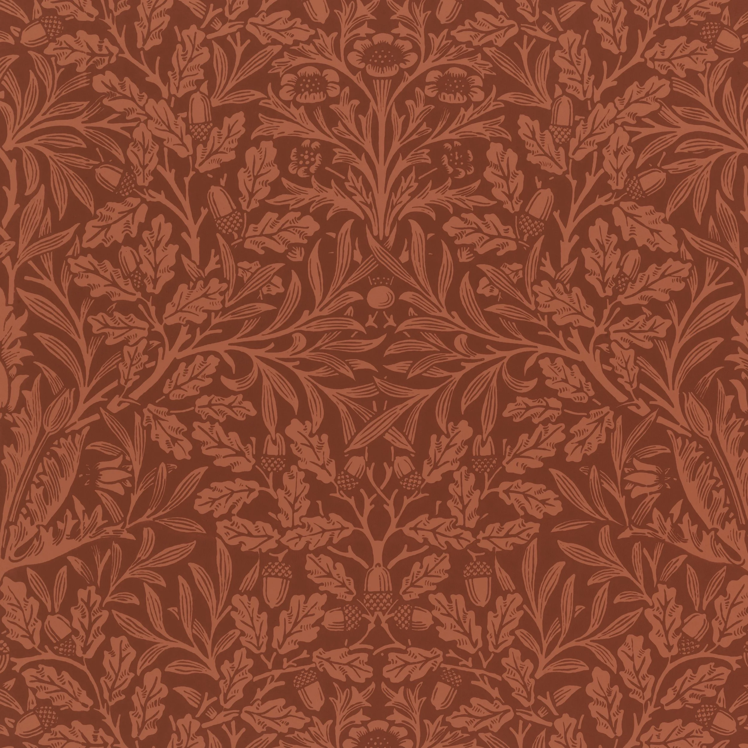 02 basic membership.jpg