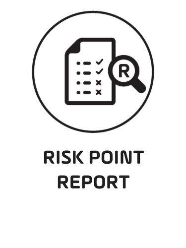 1. Risk Point Report Black.png