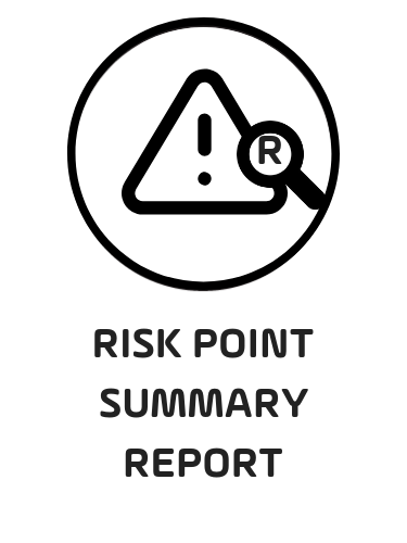 3. Risk Point Summary Report - Black.png