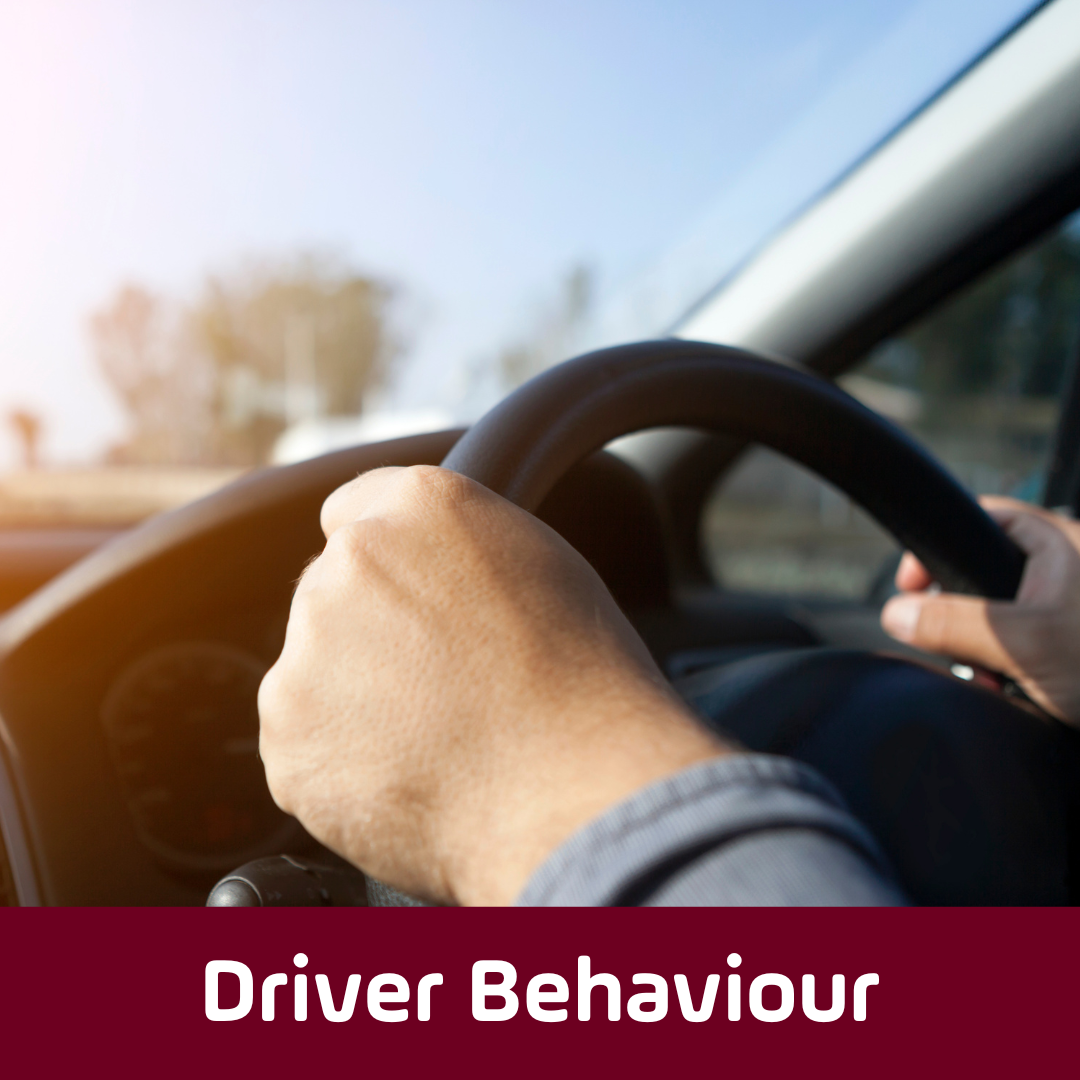 Driver Behaviour - Argus Tracking