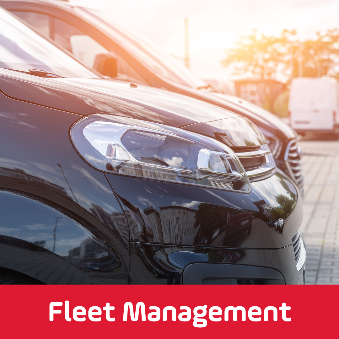 Fleet Management - Argus Tracking