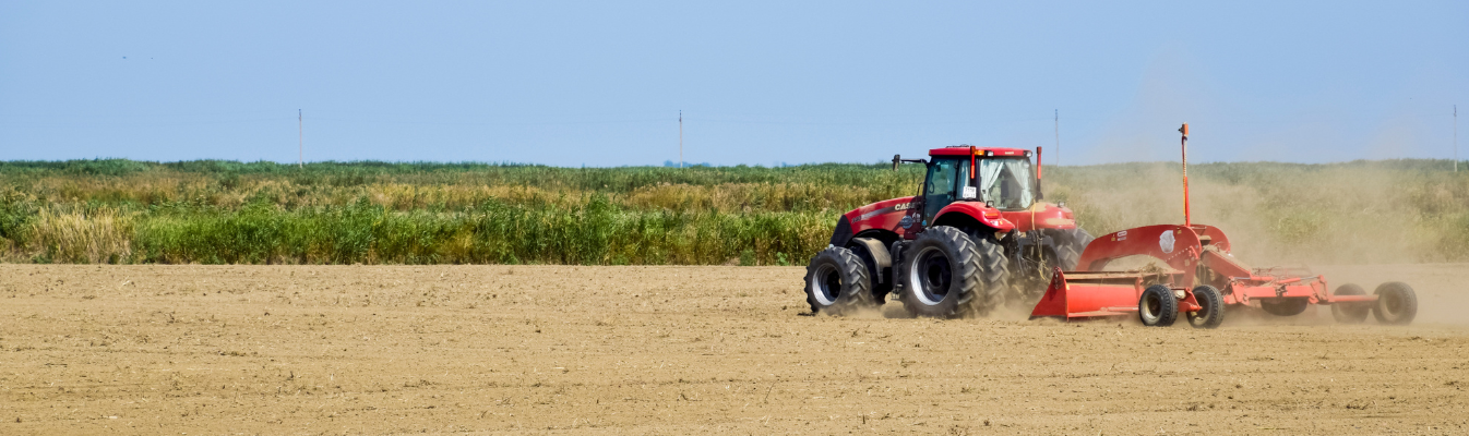 Asset Plans_page header (1).png