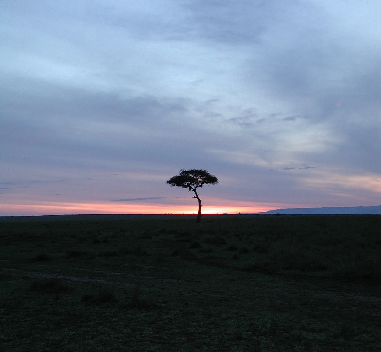 Masai Mara Sunset.JPG