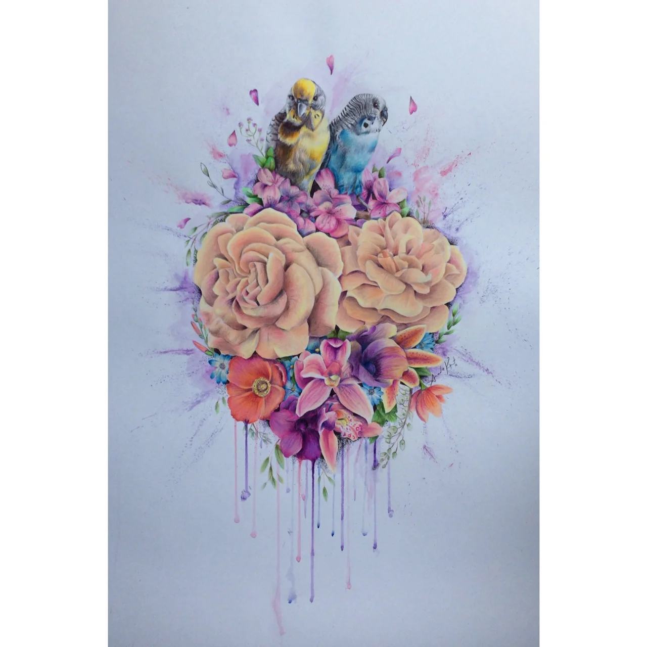 'Budgie Heart Bloom'